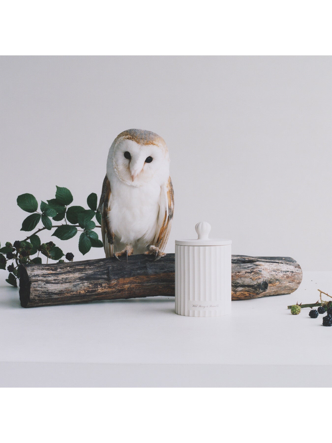 Wild Berry & Bramble Townhouse Candle