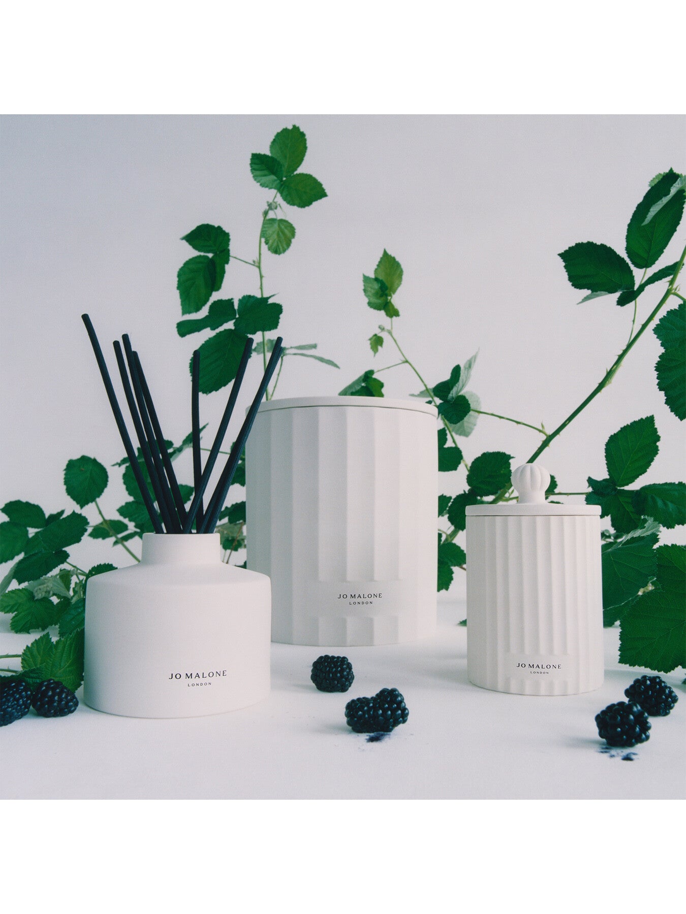 Wild Berry & Bramble Townhouse Candle