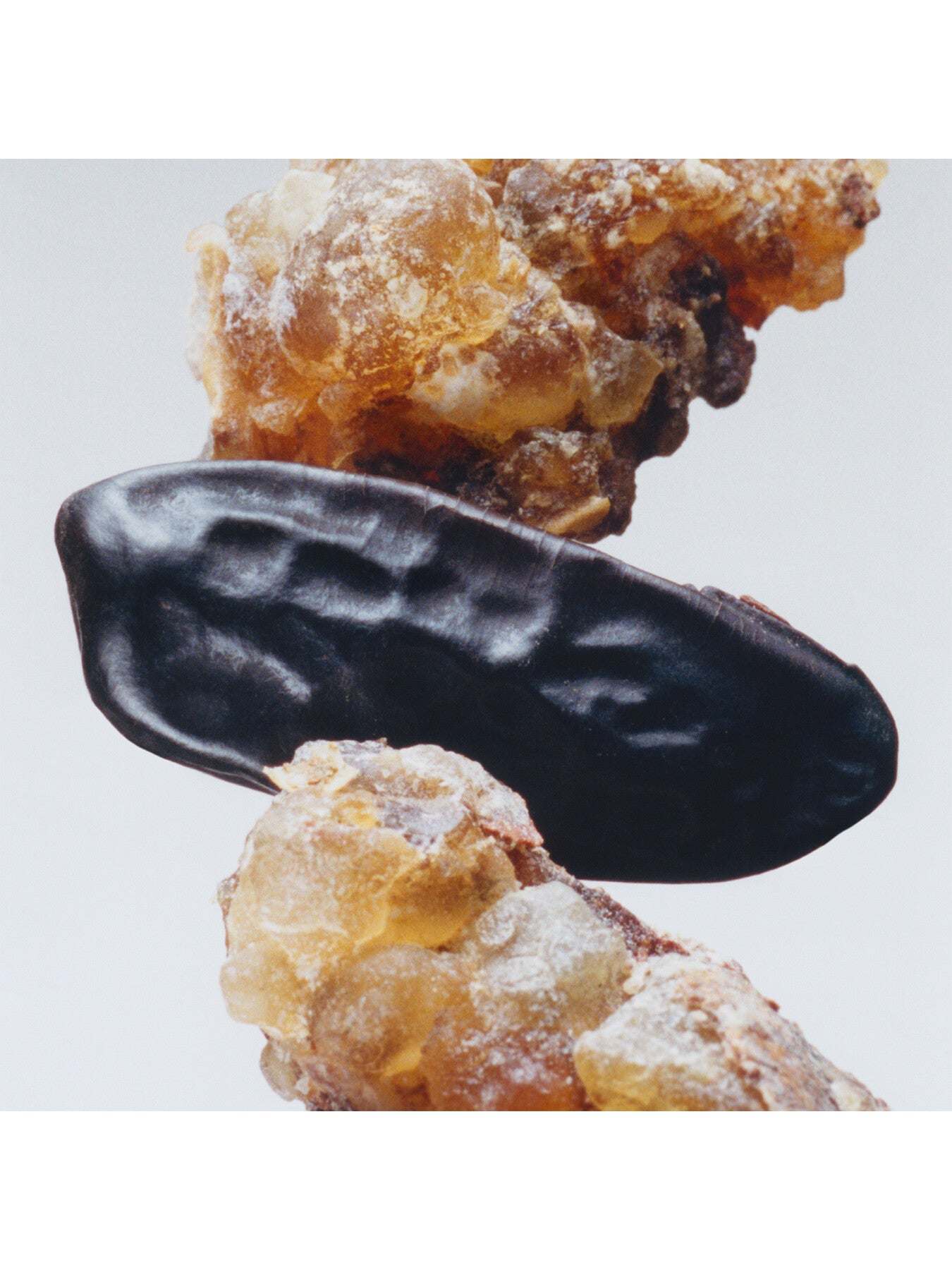 Myrrh & Tonka Body Crème