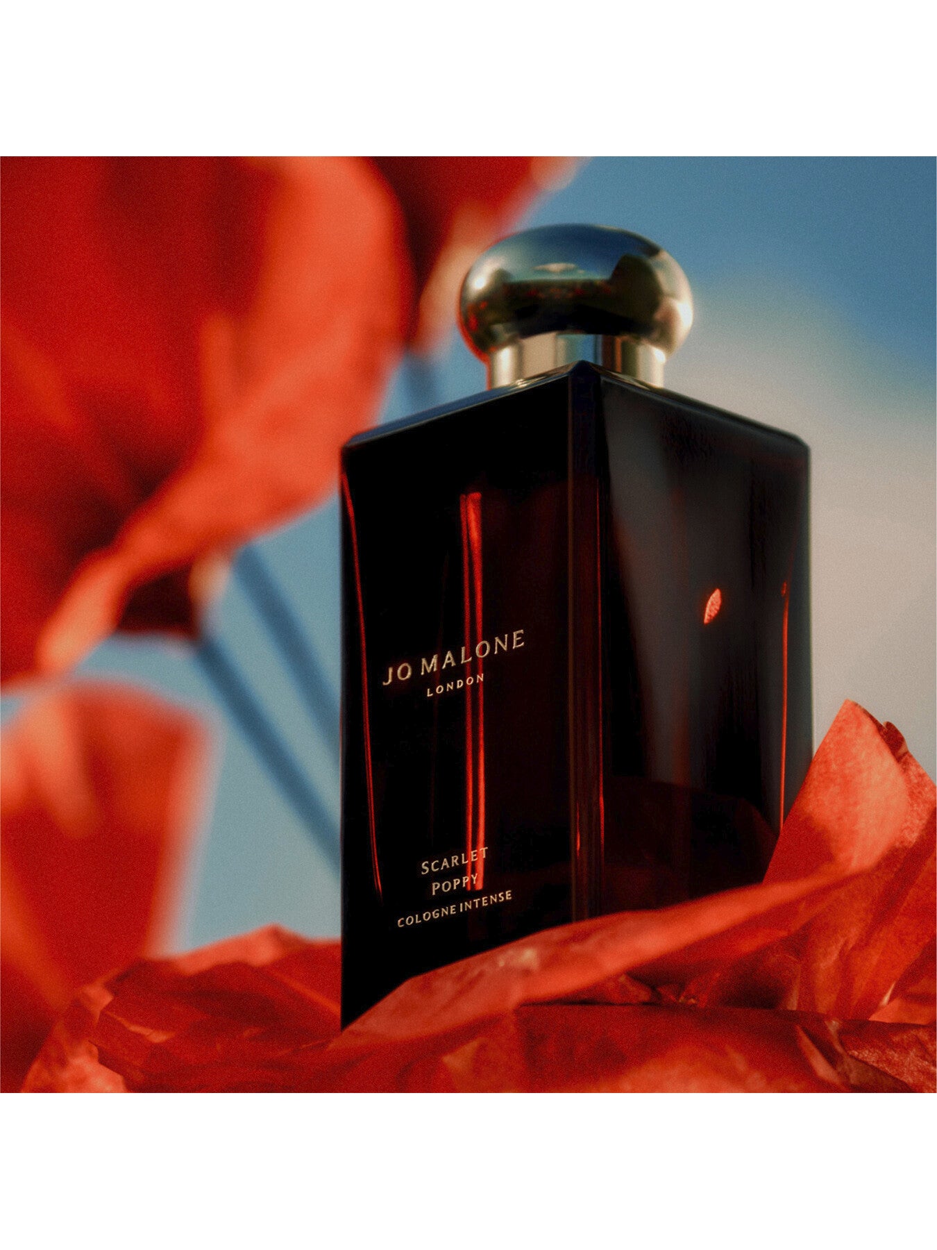 Scarlet Poppy Cologne Intense 50ml – Fenwick