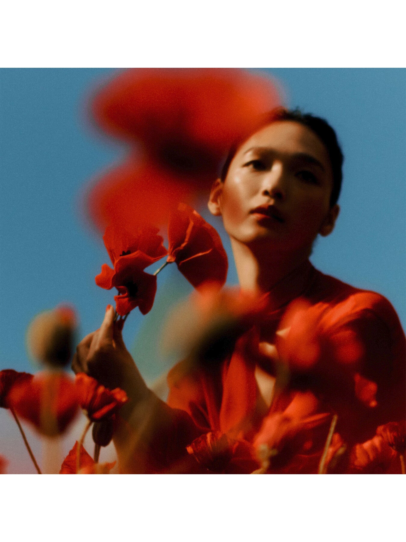 Scarlet Poppy Cologne Intense 50ml