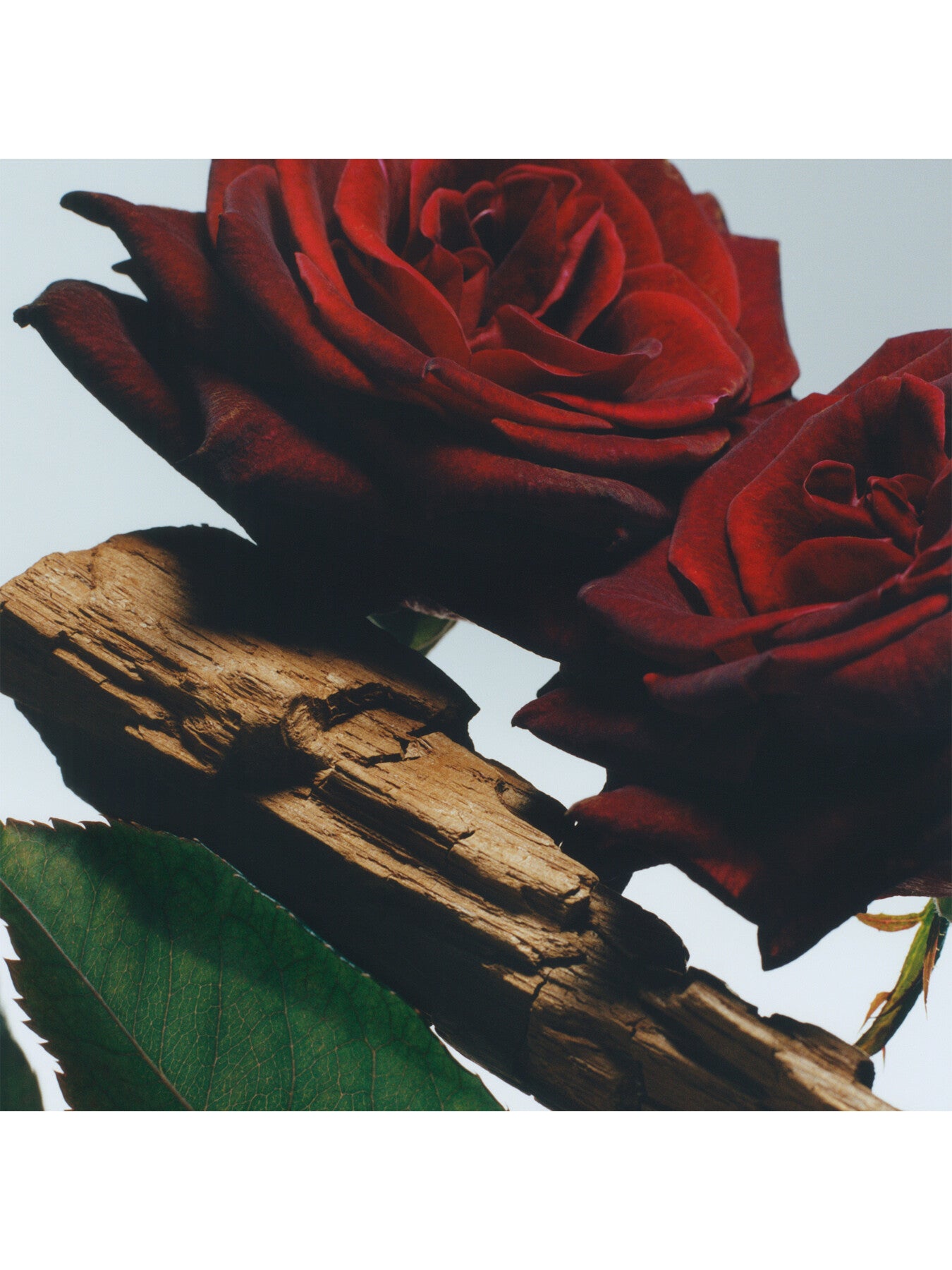 Velvet Rose & Oud Cologne Intense 9ml