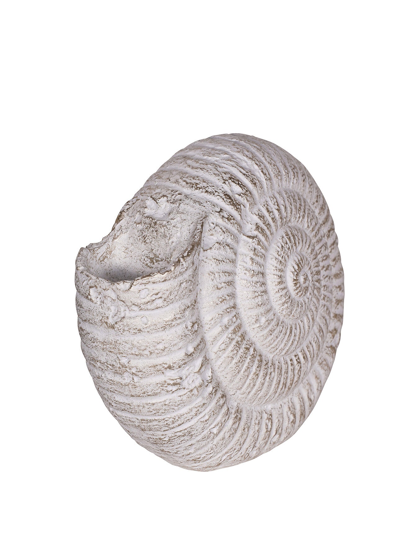Large Conche Shell Ornament