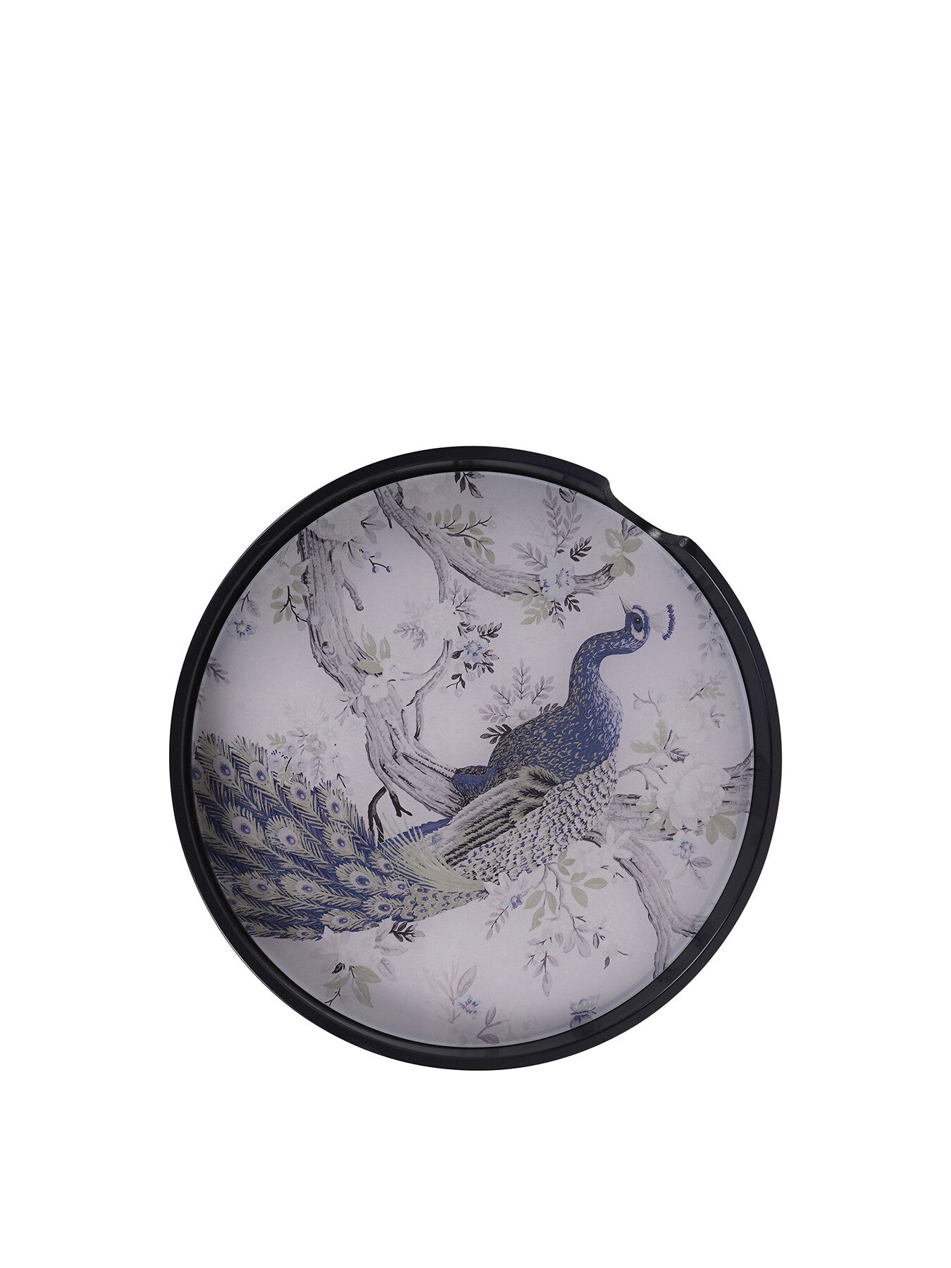 Belvedere Peacock Print Set Of 4 Placemats