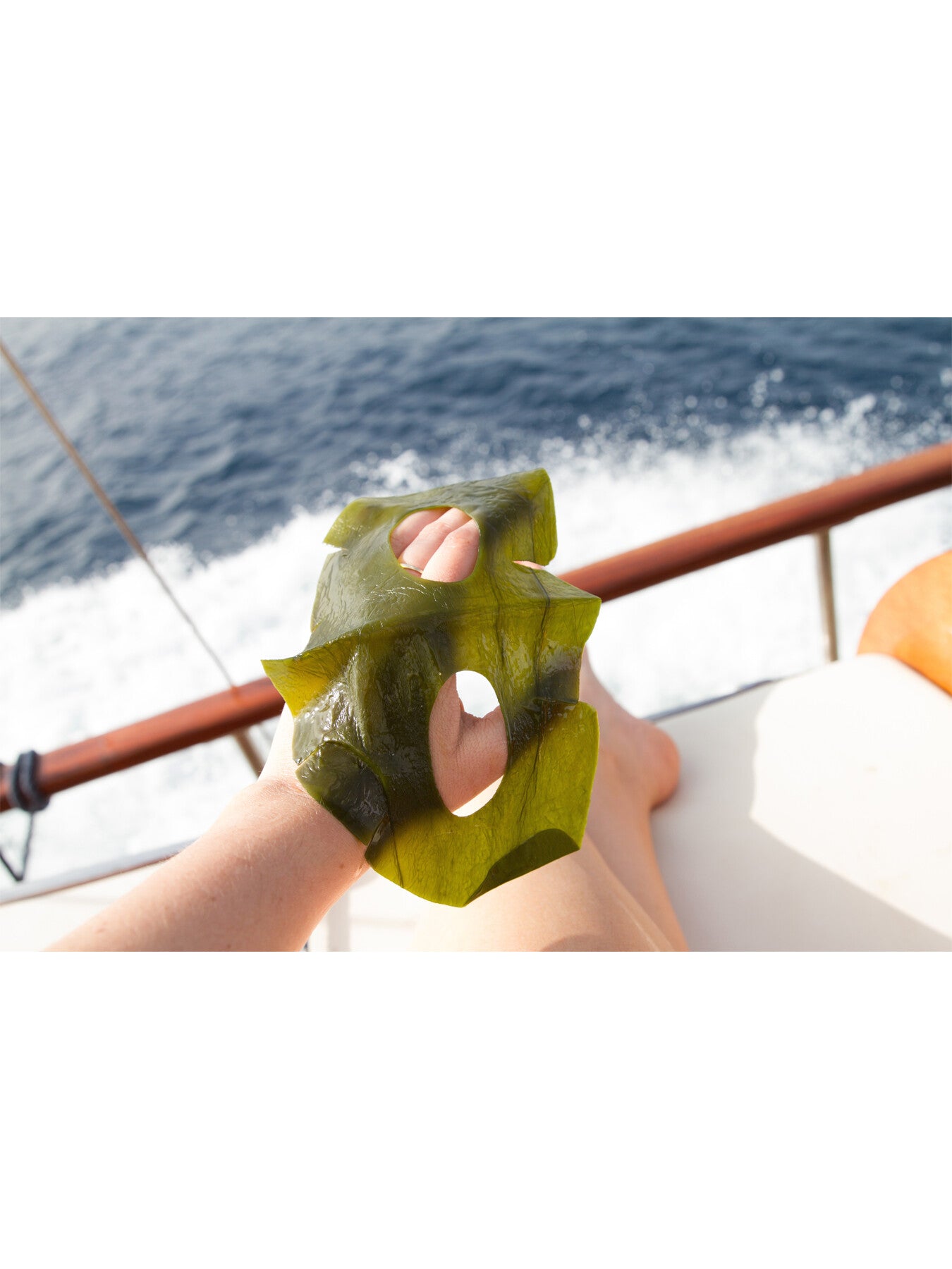 ORGLAMIC™ Sea Kelp Mask