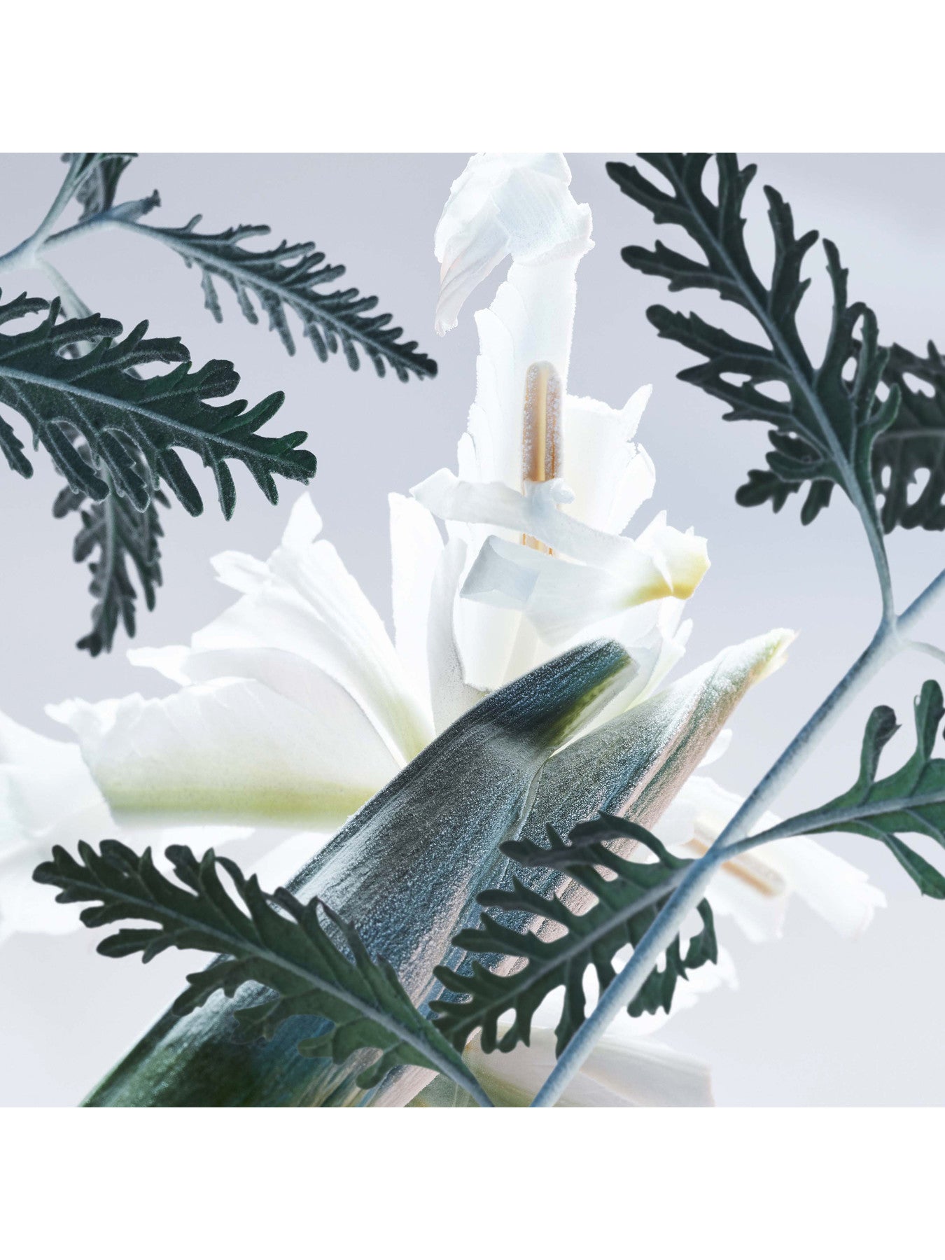 MAN Glacial Essence Eau de Parfum 100ml