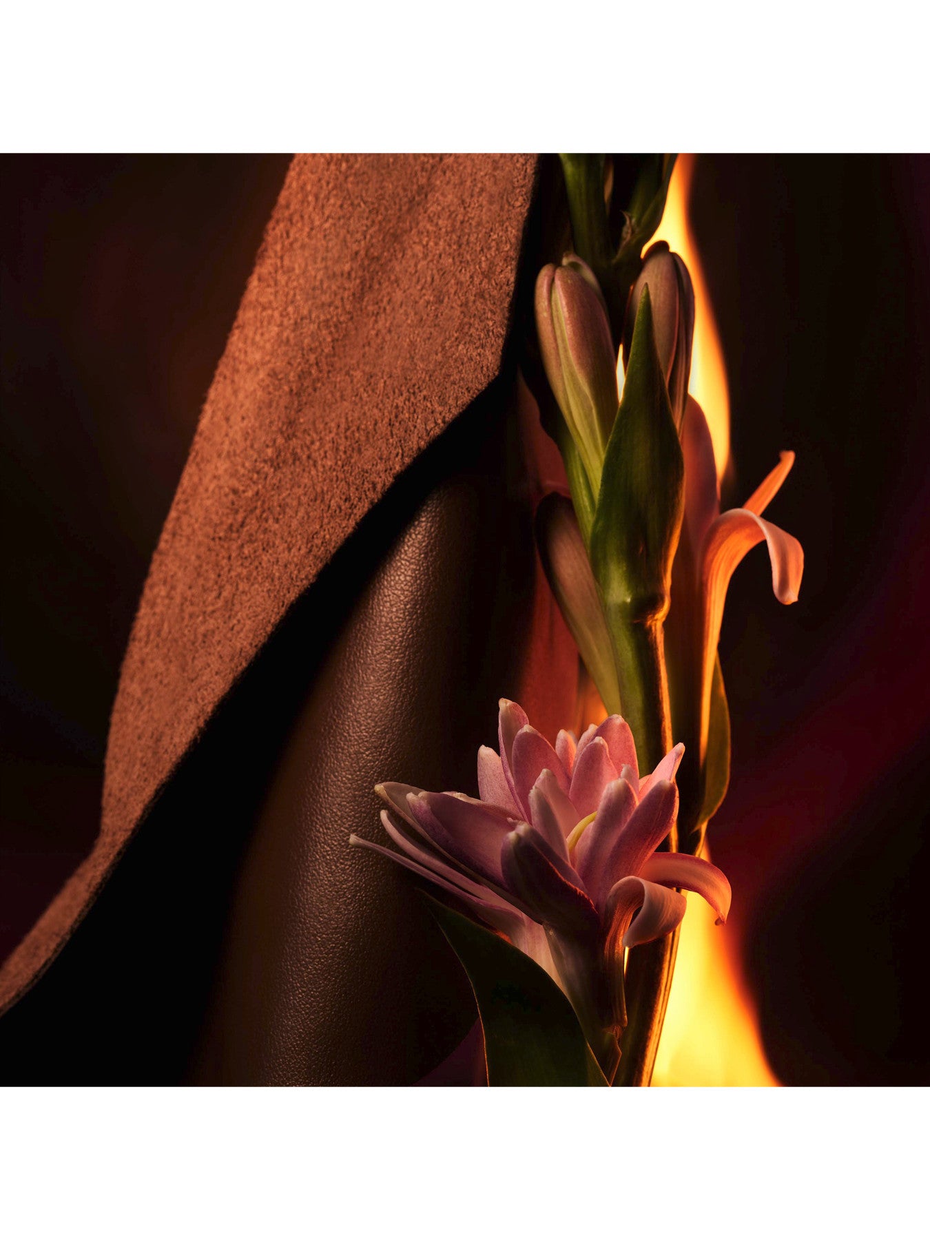 MAN In Black Eau de Parfum 60ml