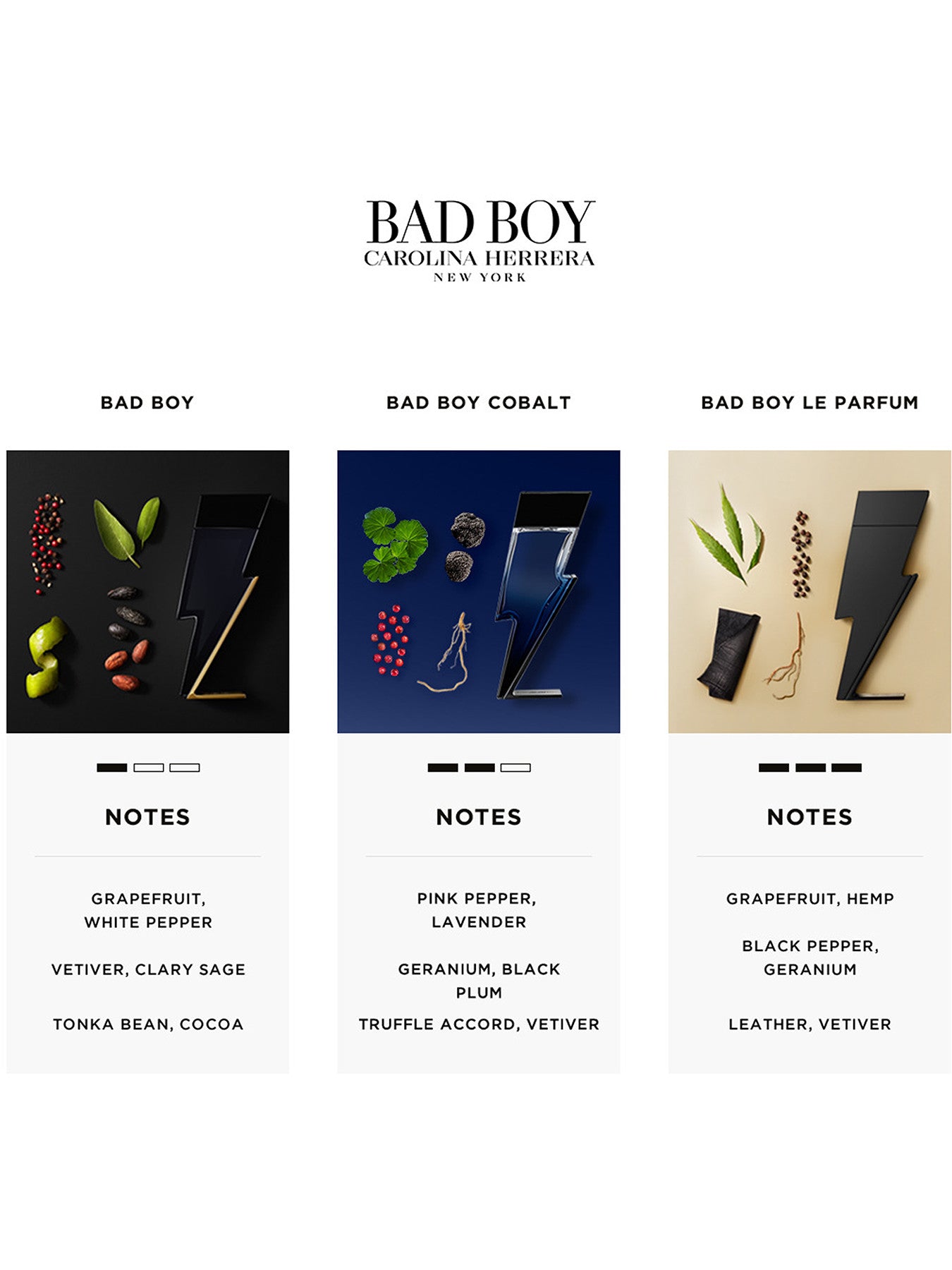 Bad Boy Cobalt Eau de Parfum 100ml