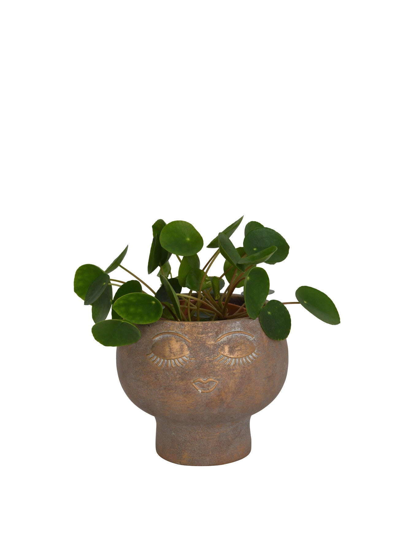 Ava Face Concrete Planter Small 15cm