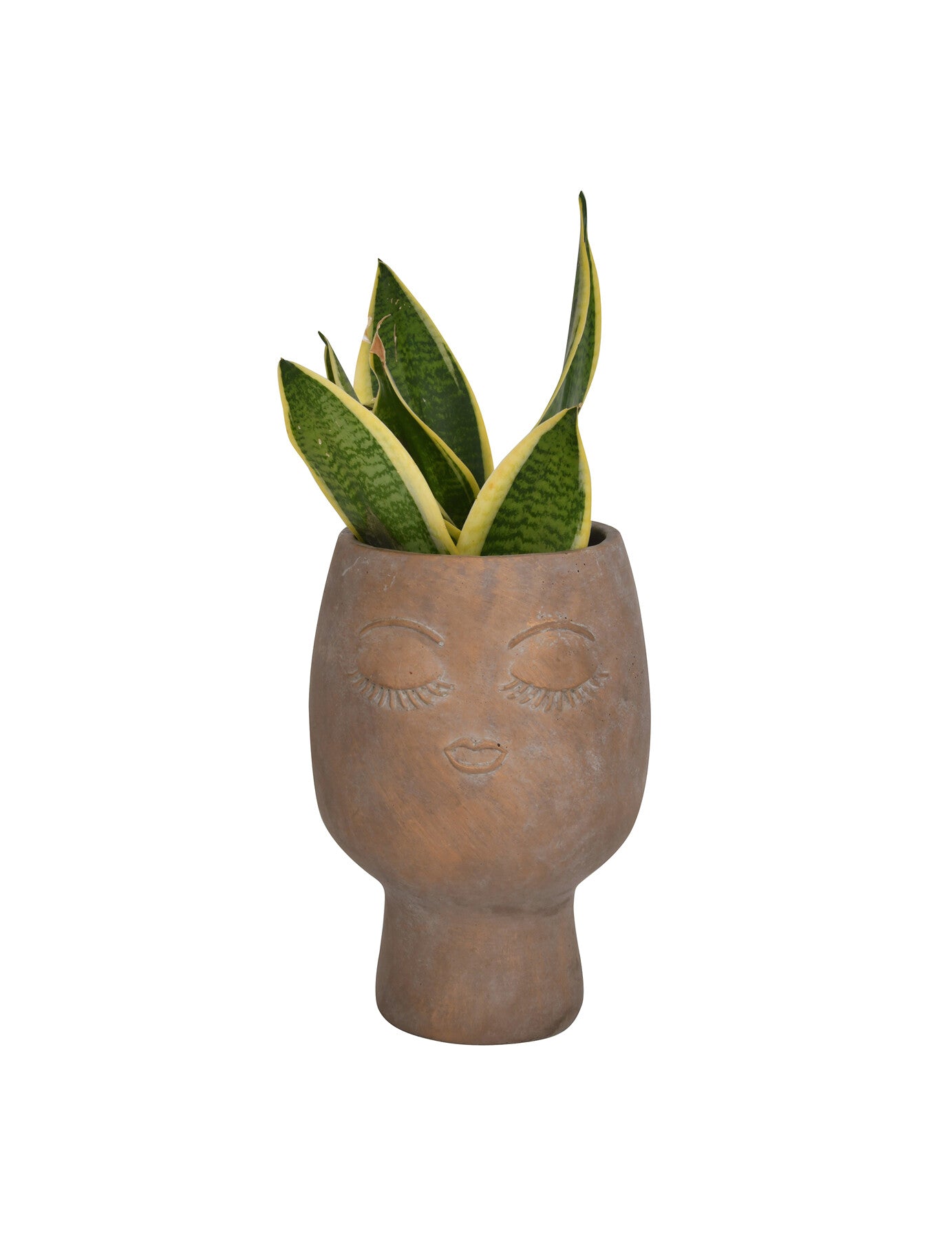 Ava Face Concrete Planter Large 25cm
