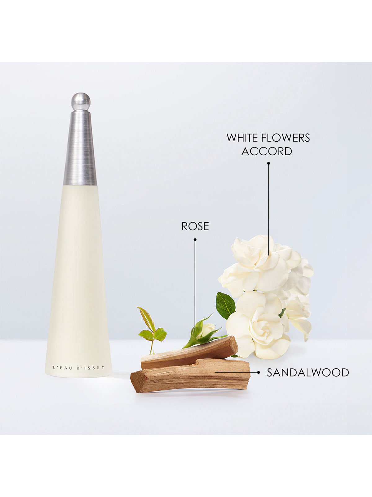 L'Eau d'Issey Eau De Toilette 50ml Gift Set