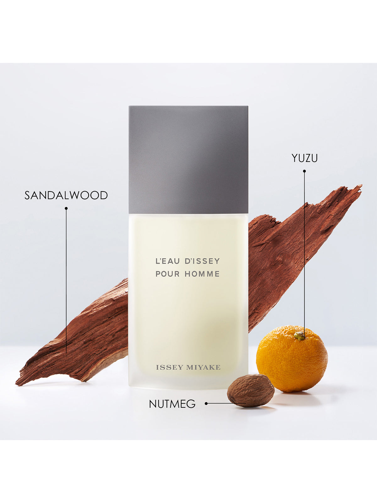 L'Eau d'Issey Pour Homme Eau De Toilette 75ml Gift Set