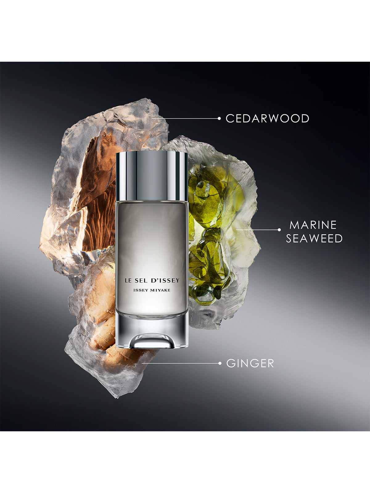 Le Sel d'Issey Eau De Toilette 50ml Gift Set