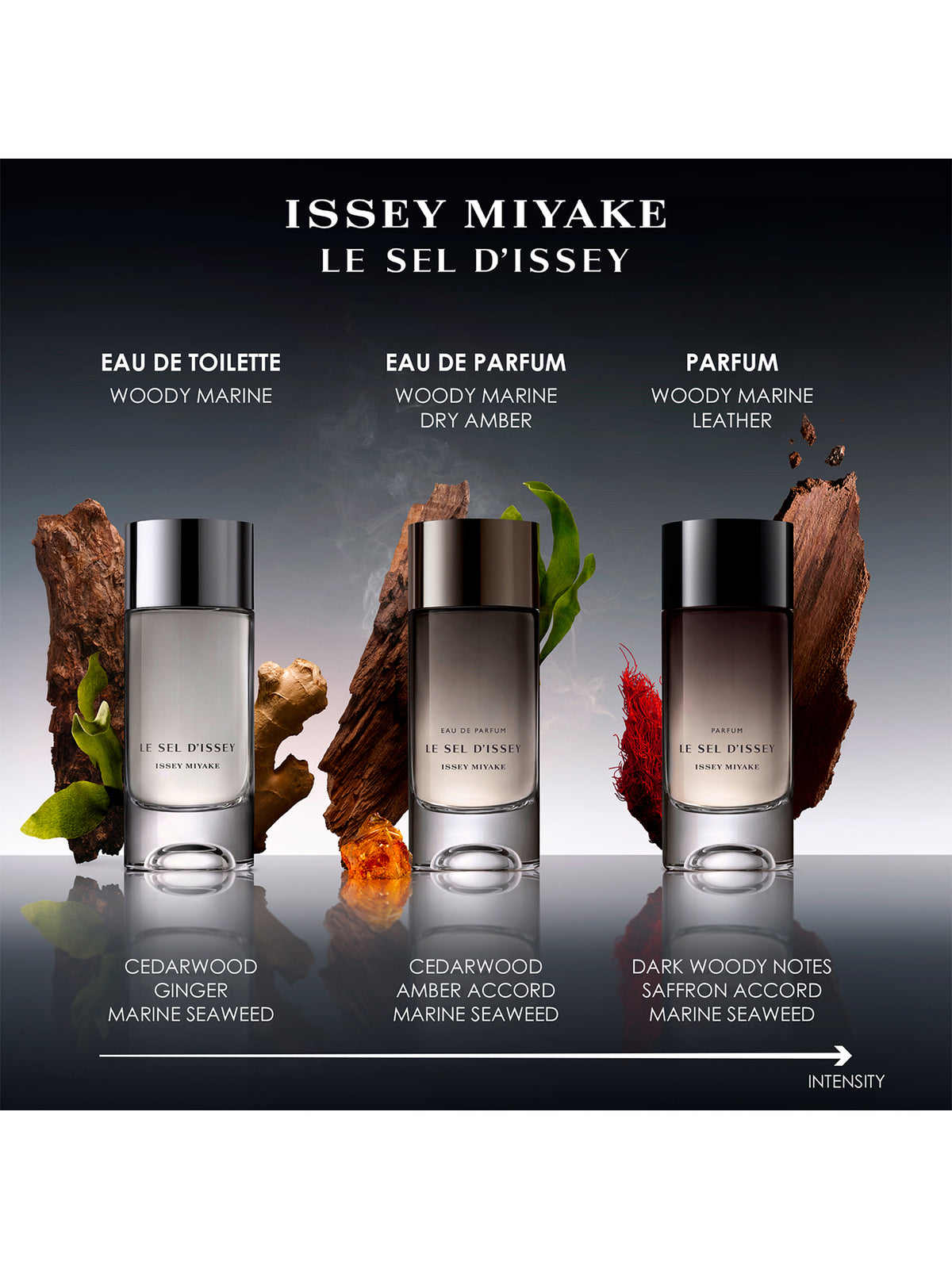 Le Sel d'Issey Eau De Toilette 50ml Gift Set