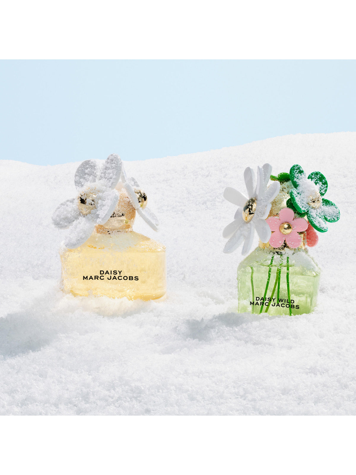 Daisy Wild Eau De Parfum 50ml Gift Set