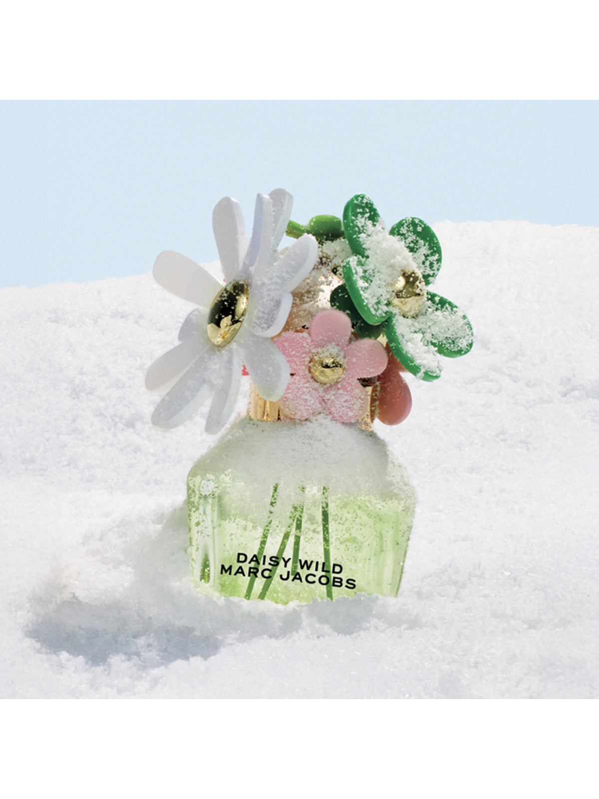 Daisy Wild Eau De Parfum 100ml Trio Gift Set