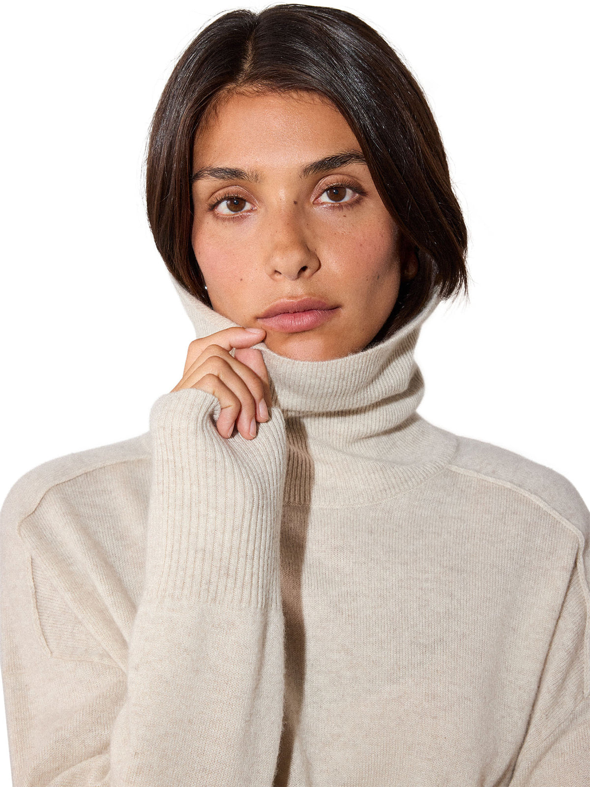 Cashmere Seam Roll Neck Knit
