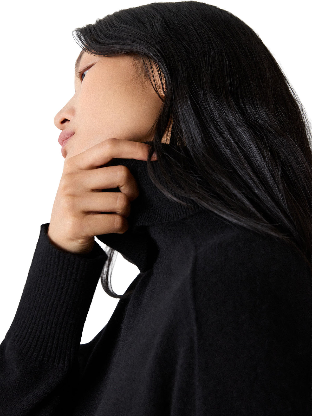 Cashmere Seam Roll Neck Knit