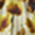 Yellow/Multi