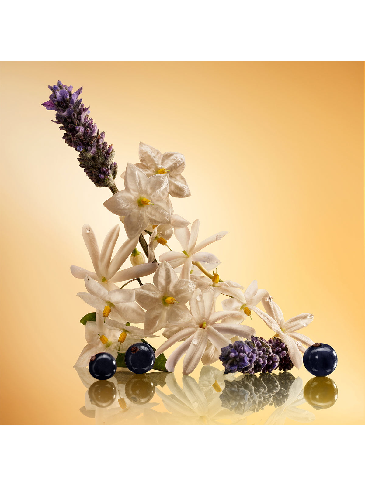 Star Confidence Perfume Set