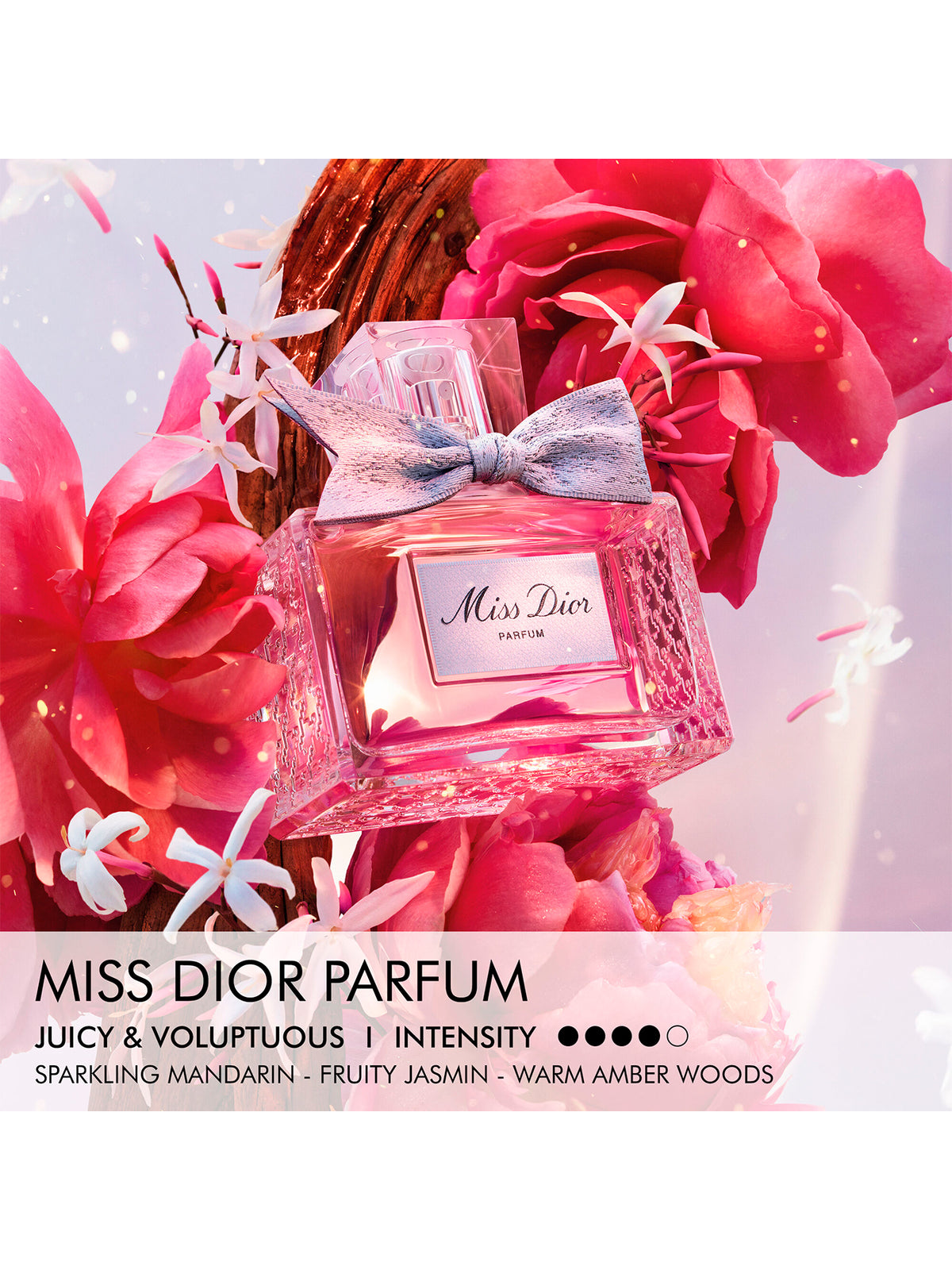 Miss Dior Parfum - Limited Edition Case