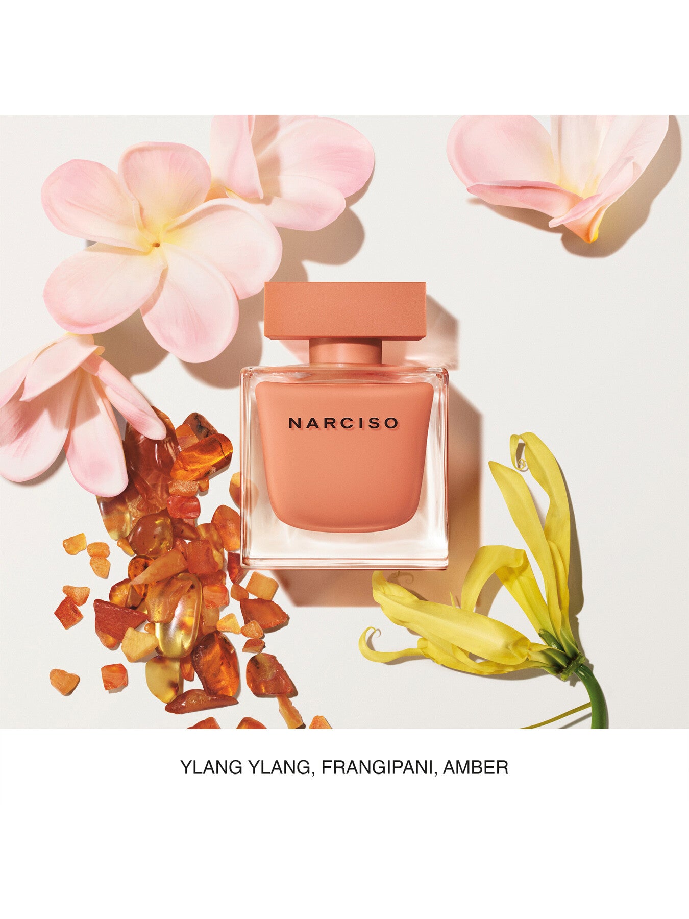 Ambree Eau de Parfum 90ml