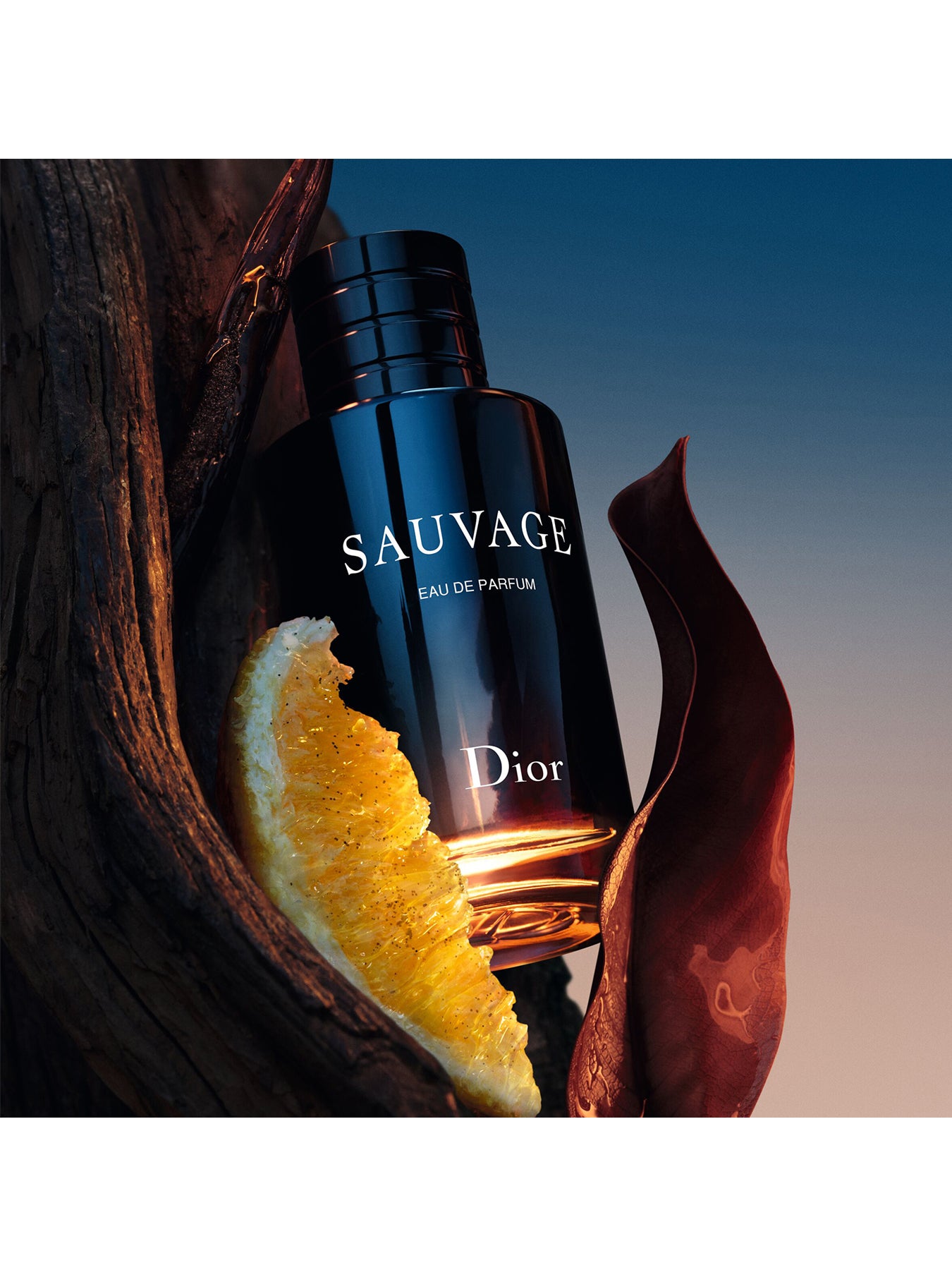 Sauvage EDP 200ml (No Colour)