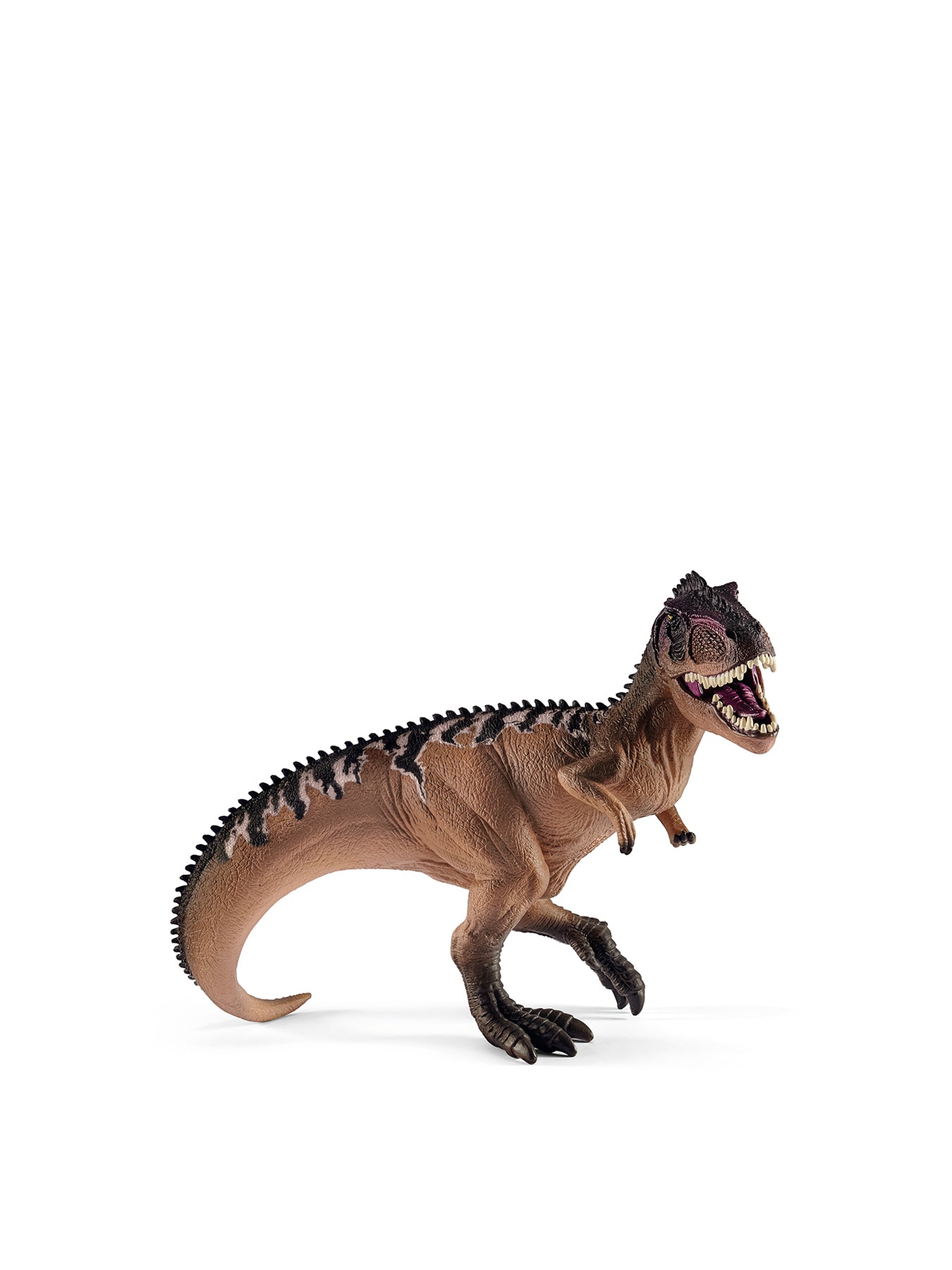 Giganotosaurus Figure