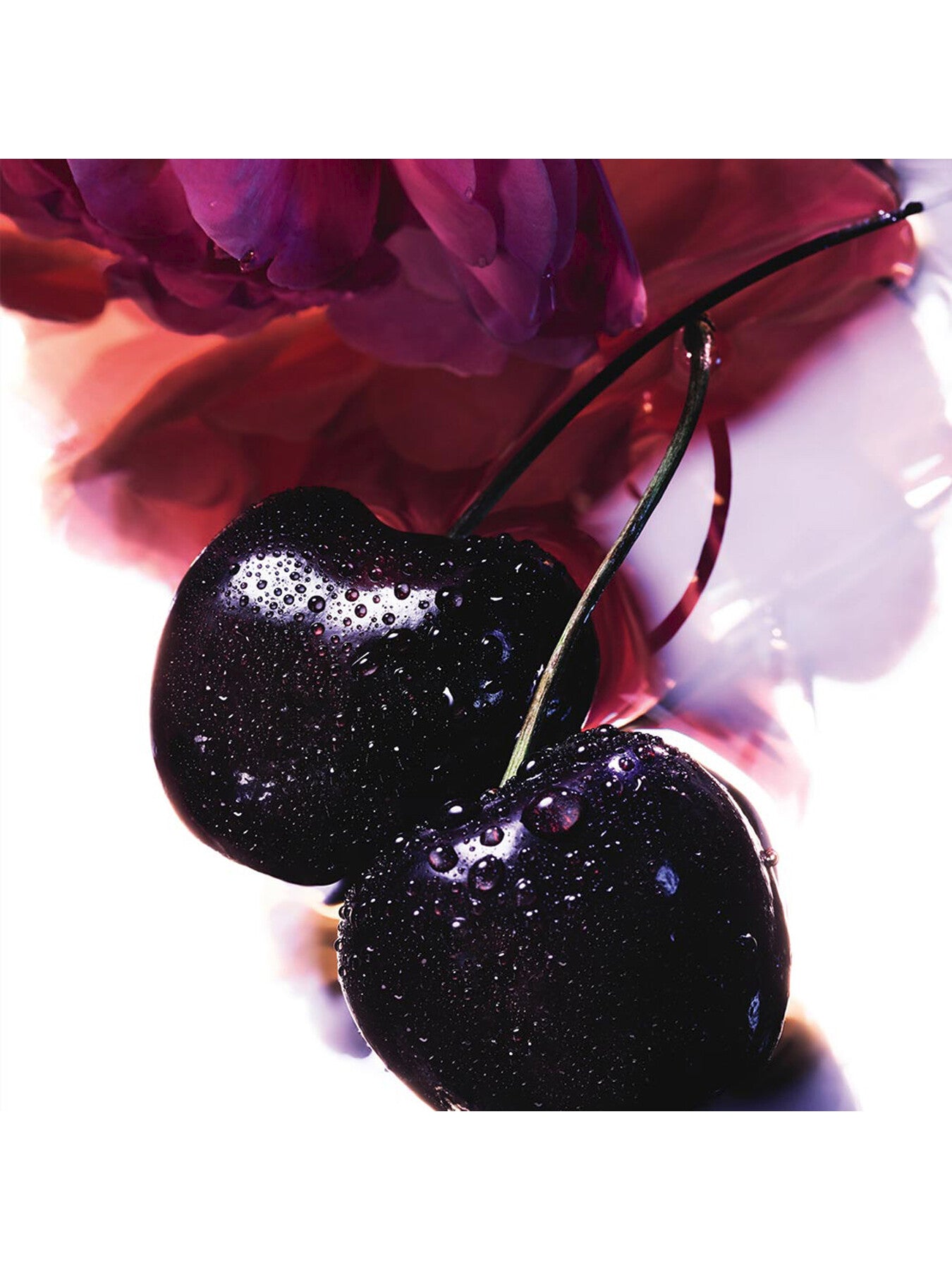 La Petite Robe Noire Eau de Parfum 100 ml