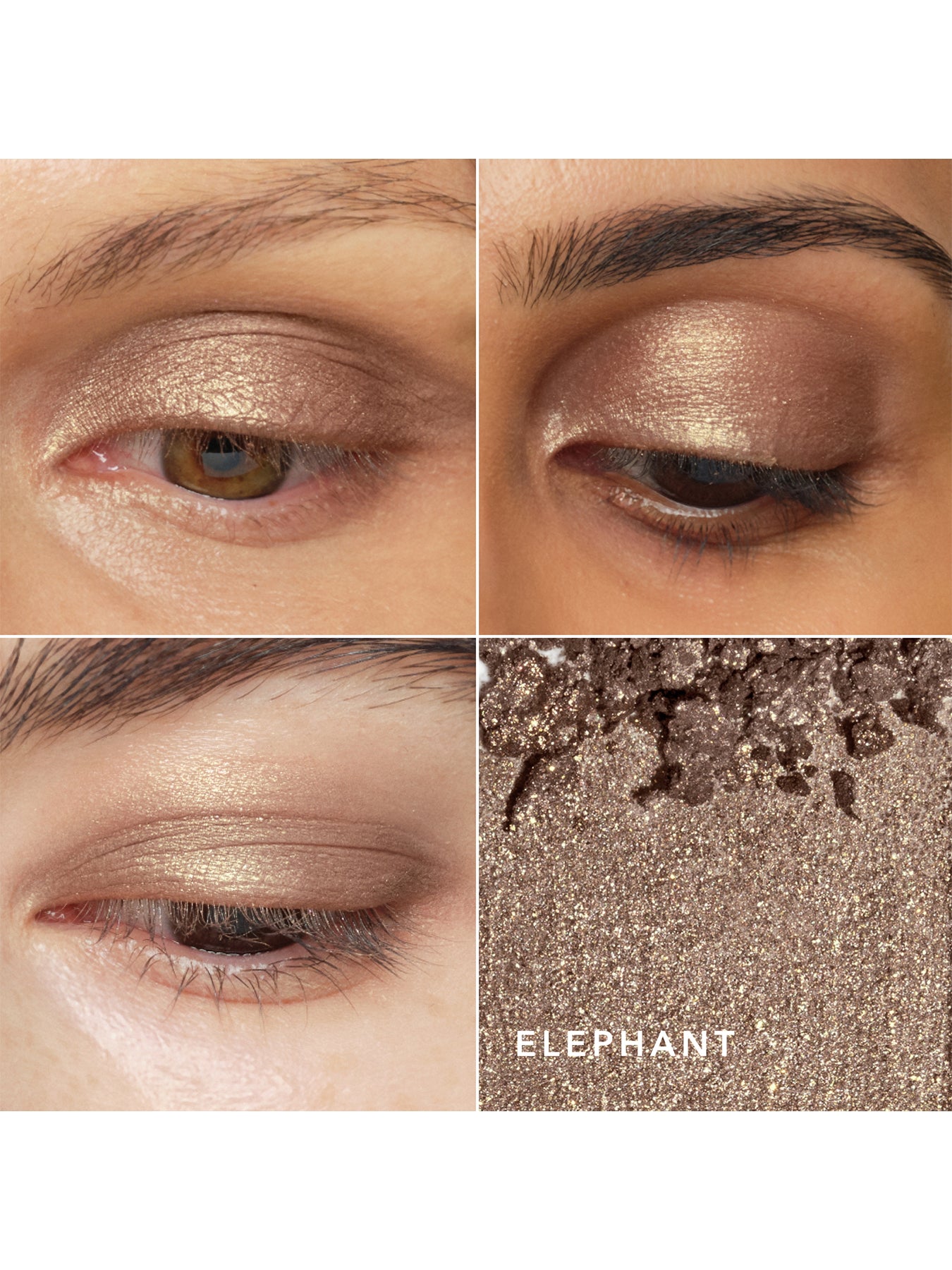 Elephant Luminescent Eye Shade