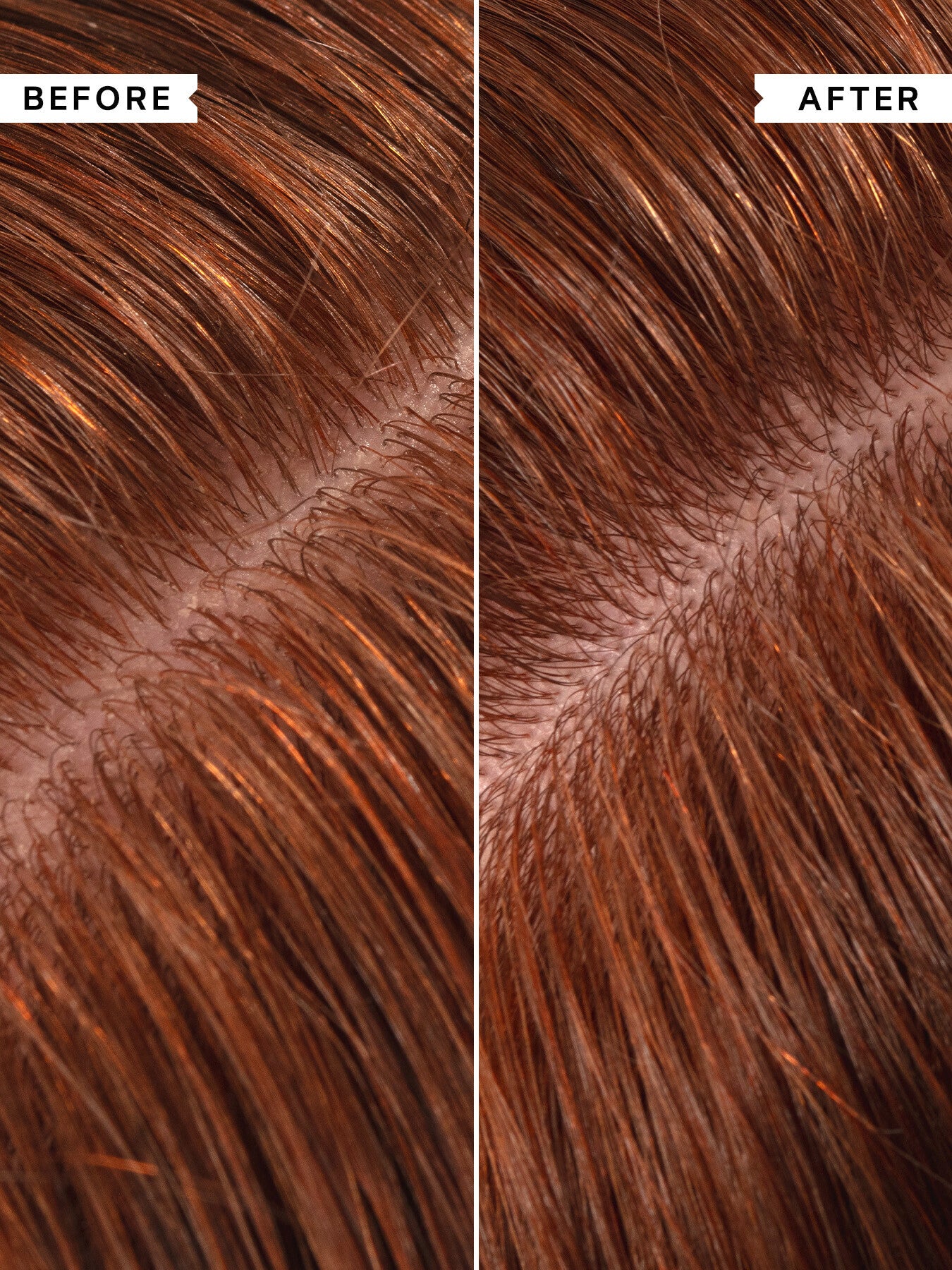 No Scent No Colour Gentle Conditioner 200 ml