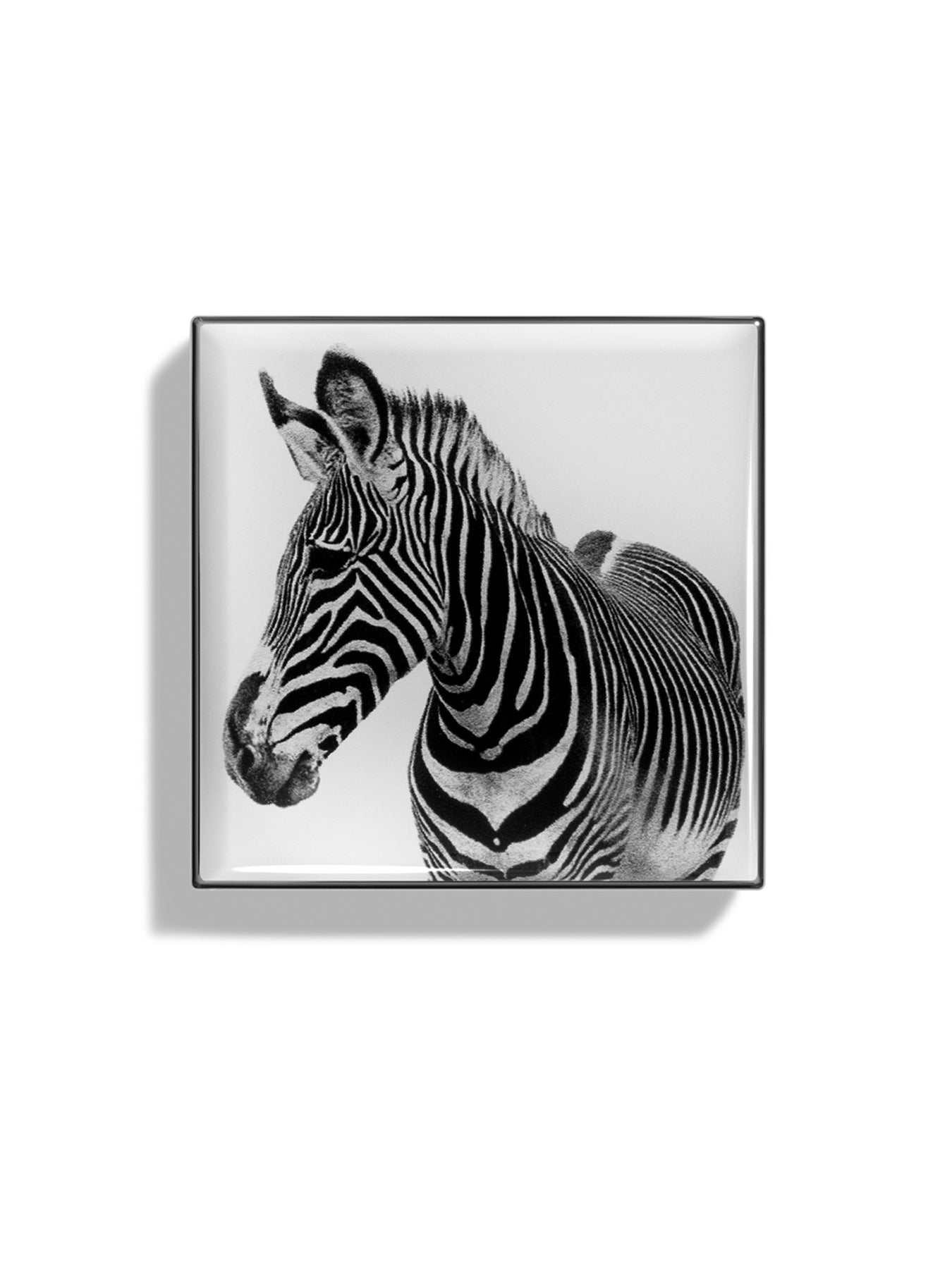 Luminescent Eye Shade Zebra