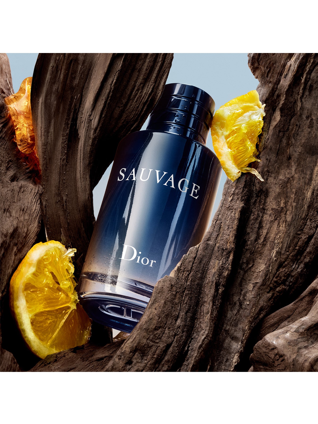 Sauvage EDT 200ml (No Colour)