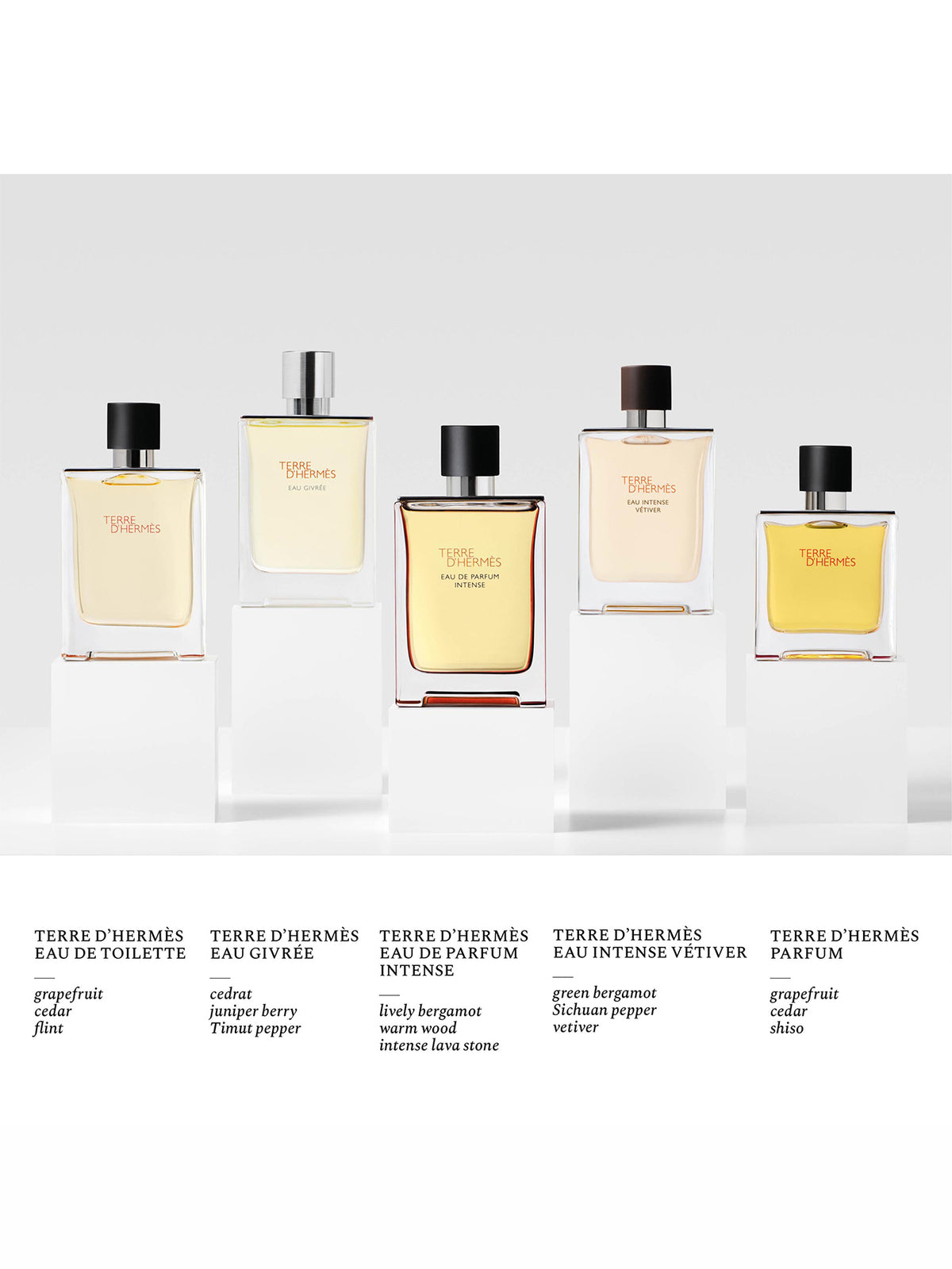 Terre d'Hermès Eau Intense Vétiver Eau de Parfum 100ml