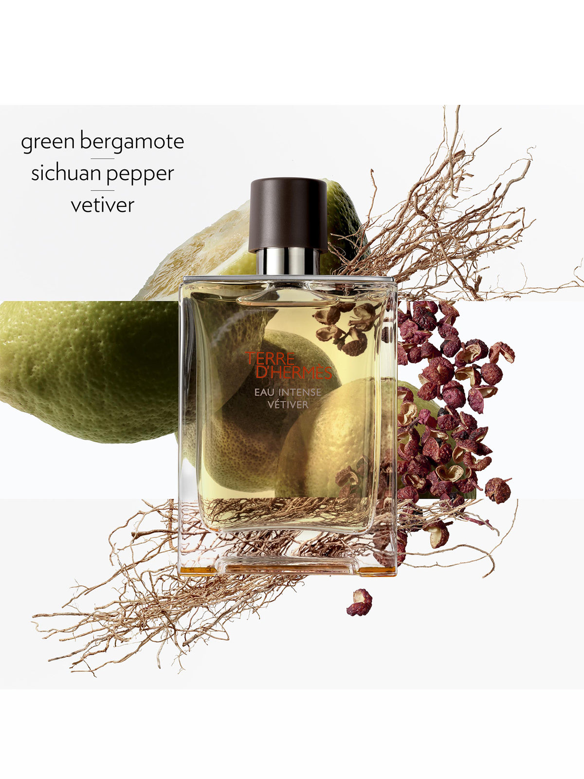 Terre d'Hermès Eau Intense Vétiver Eau de Parfum 100ml