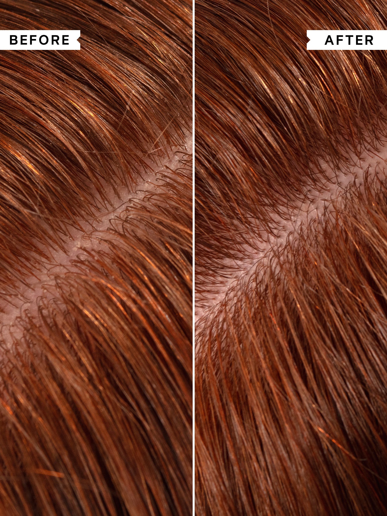 No Scent No Colour Conditioner 1000ml