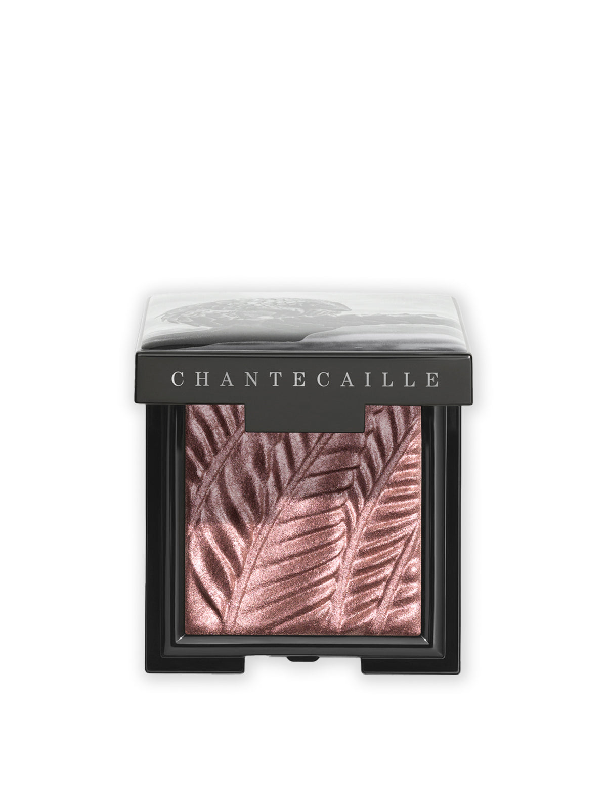 Luminescent Eye Shade Zebra