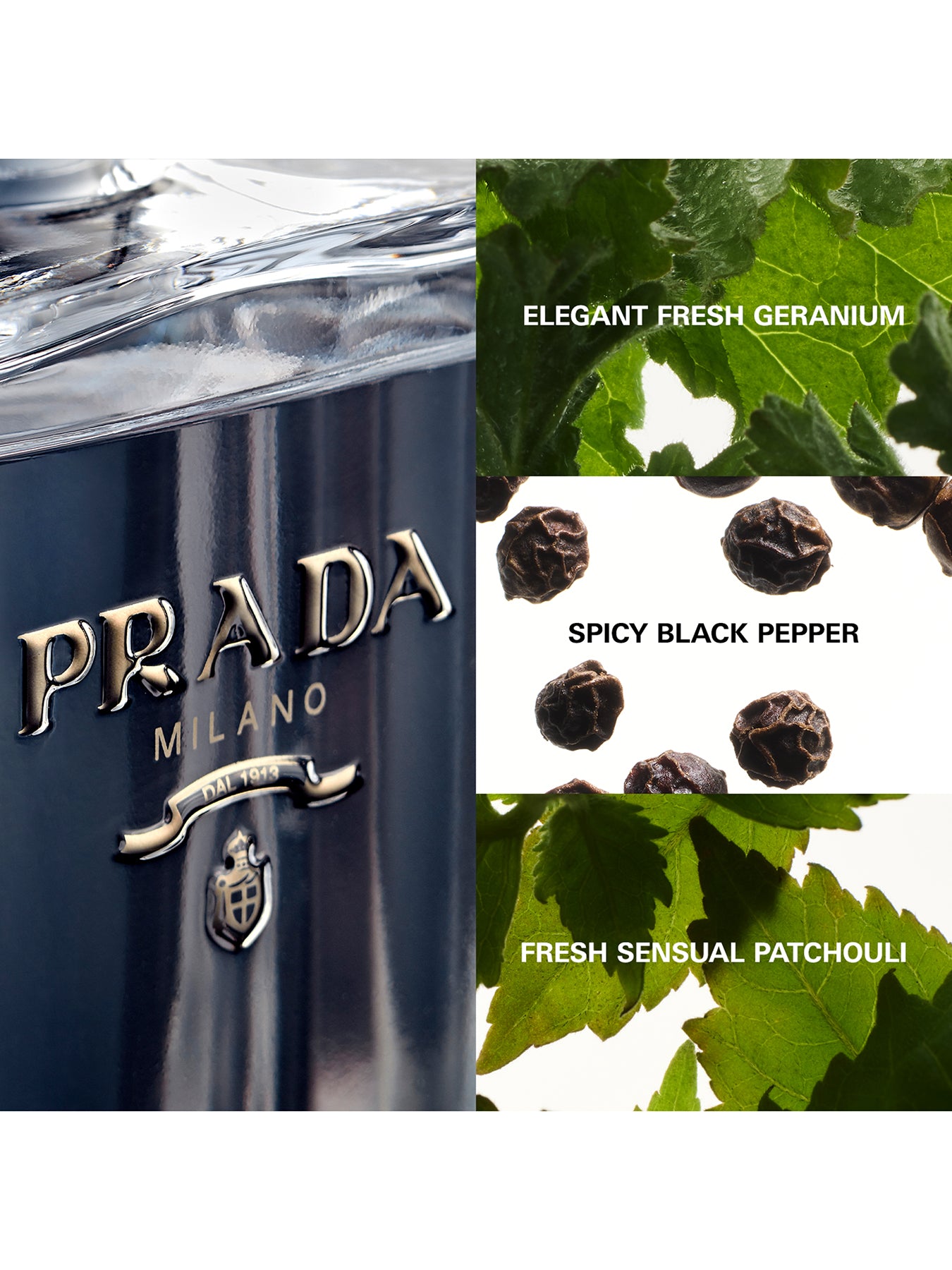 L’Homme Eau de Toilette 50ml