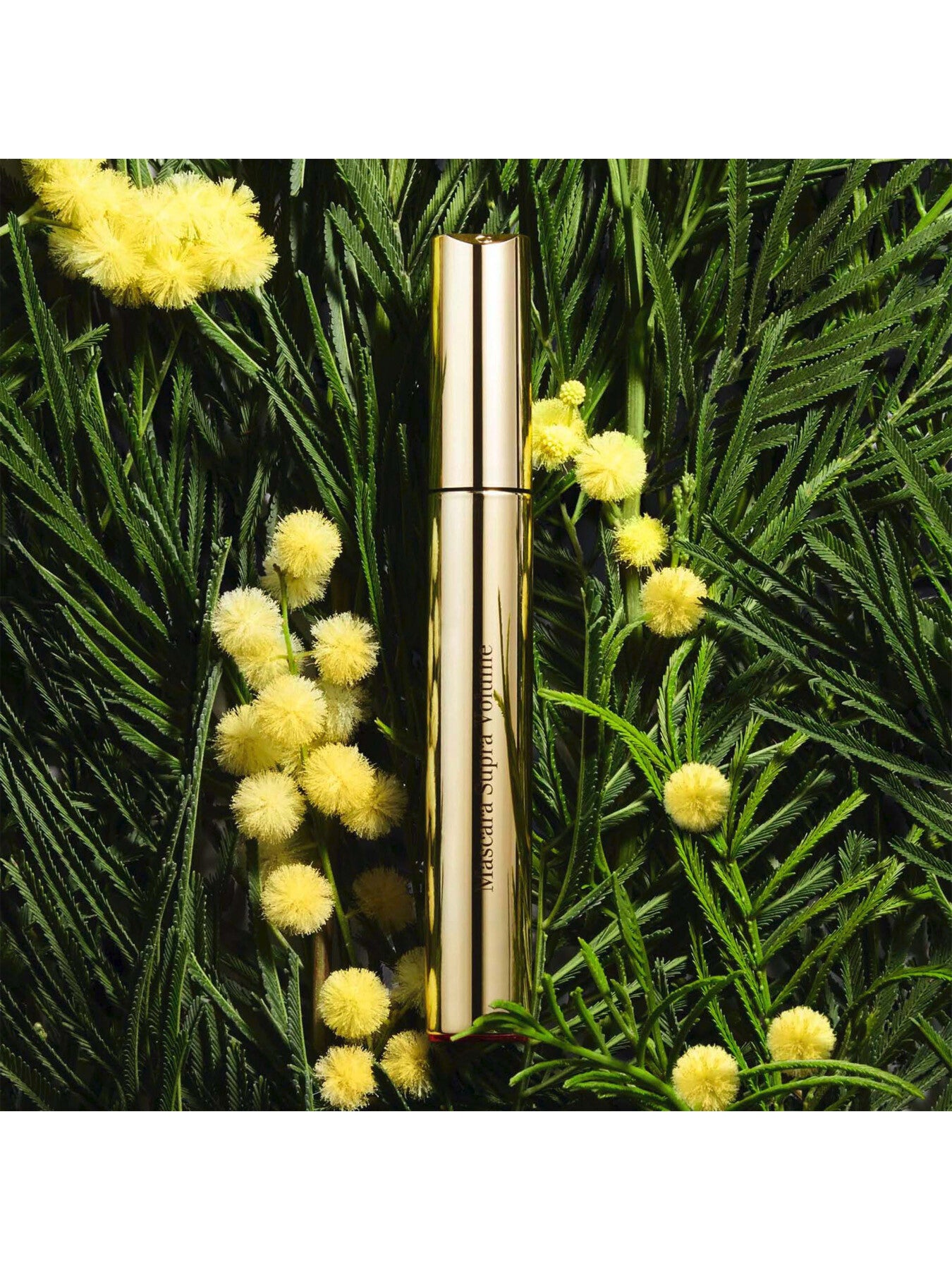 Supra Volume Mascara