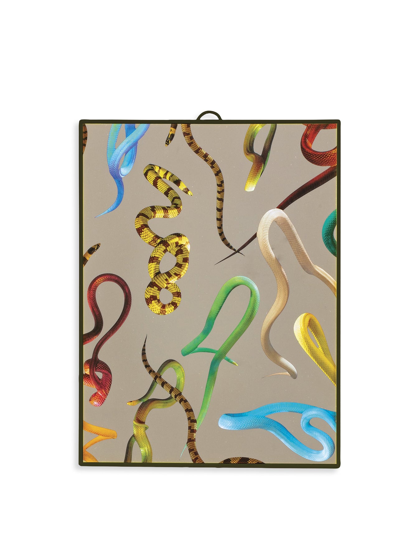 Toiletpaper Mirror Snakes