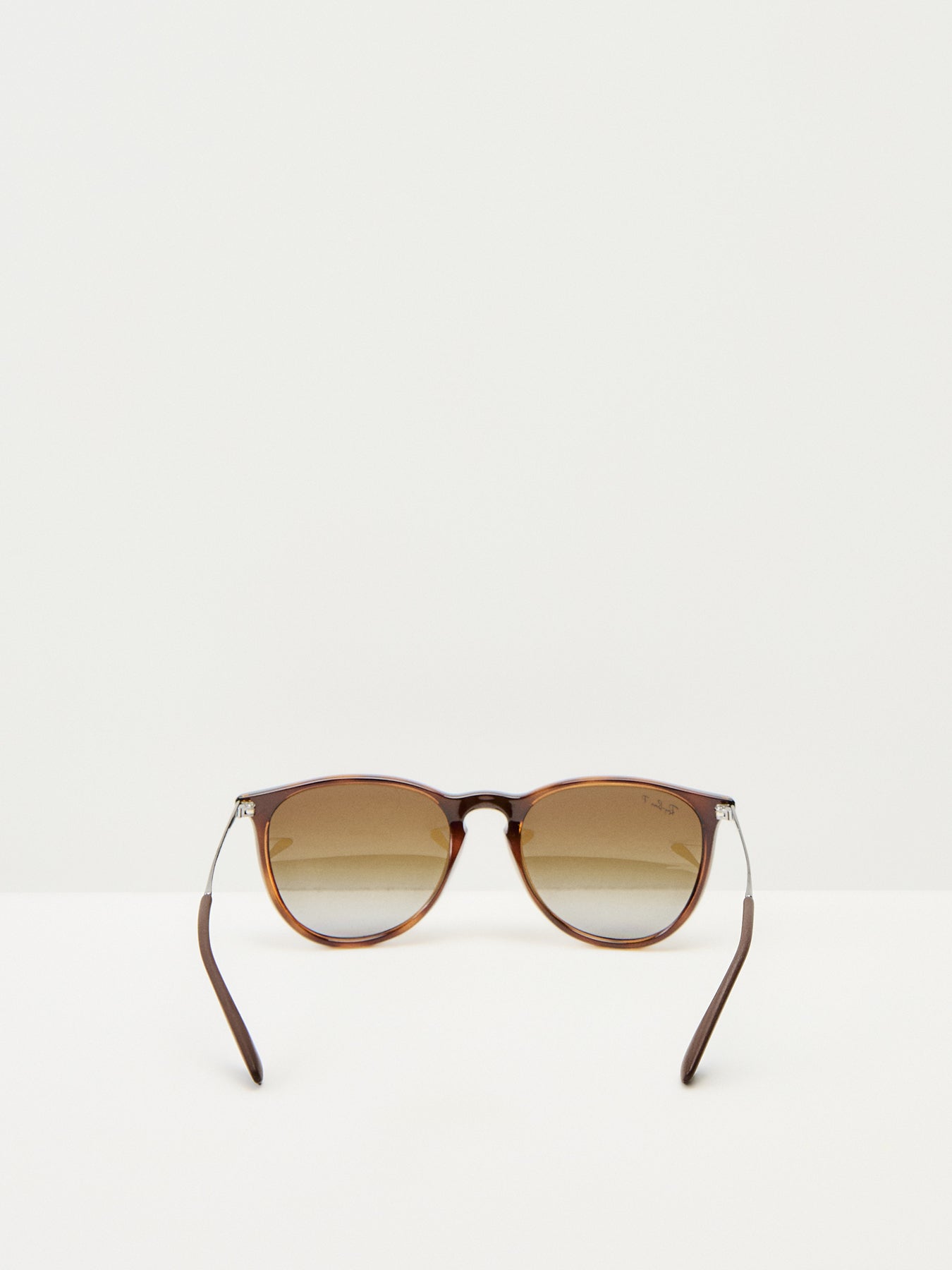 RB4171 Erika Sunglasses
