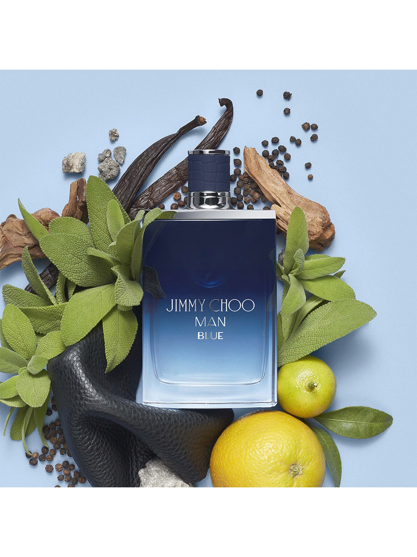 Man Blue Eau de Toilette 30ml