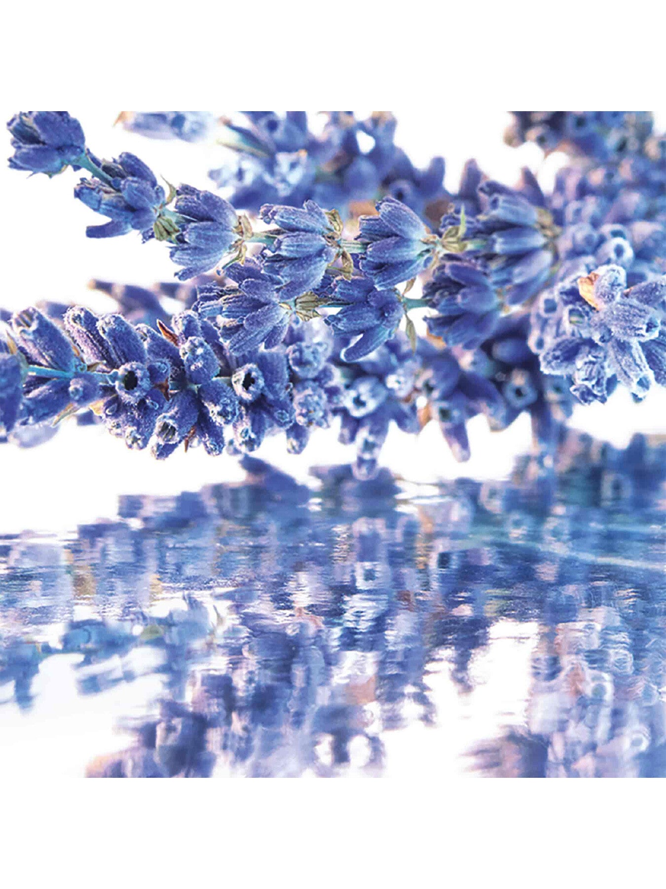 Mon Guerlain Eau de Parfum 100ml