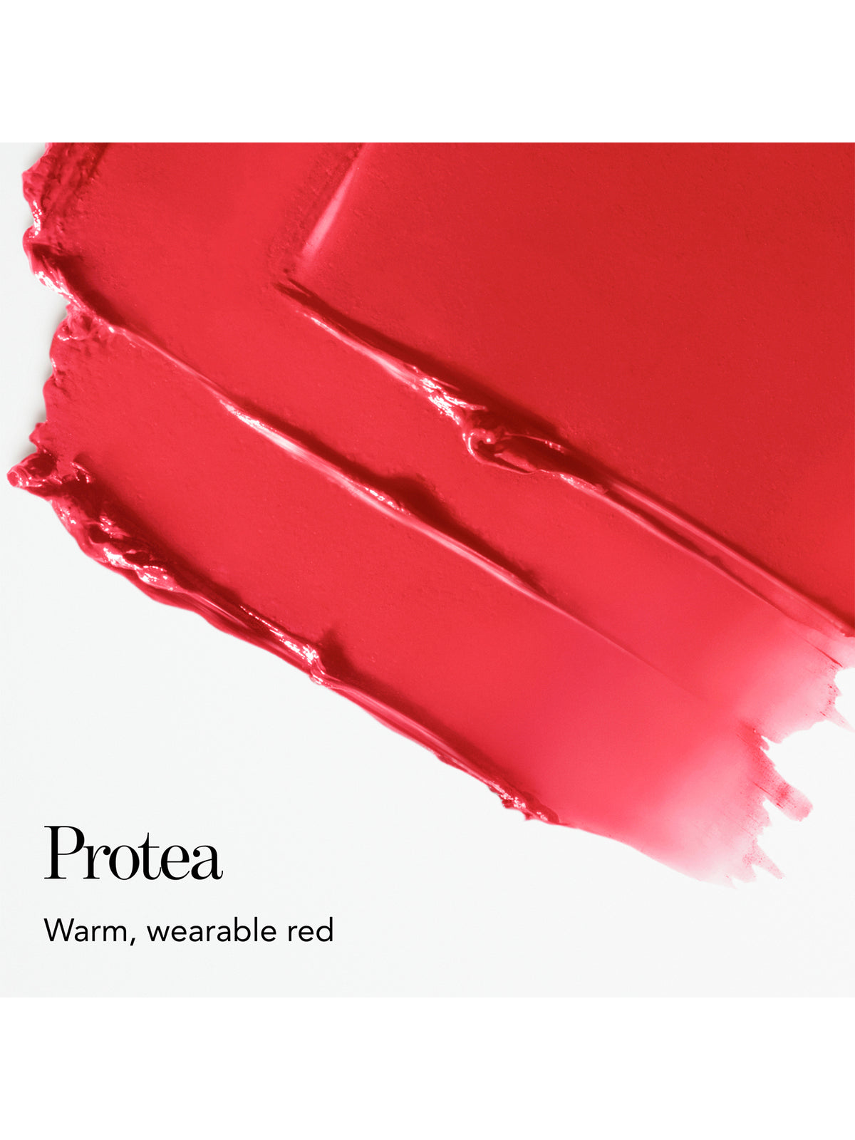 Lip Veil  Protea