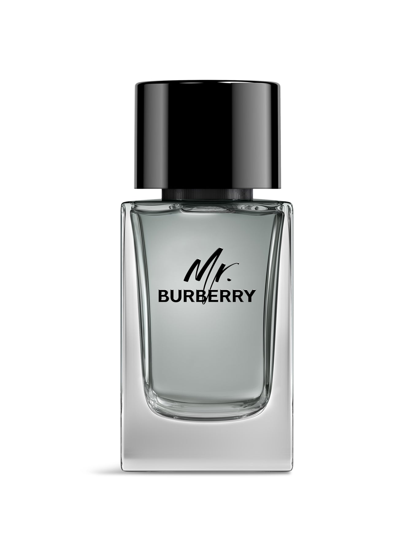 Mr. Burberry Eau de Toilette 100ml