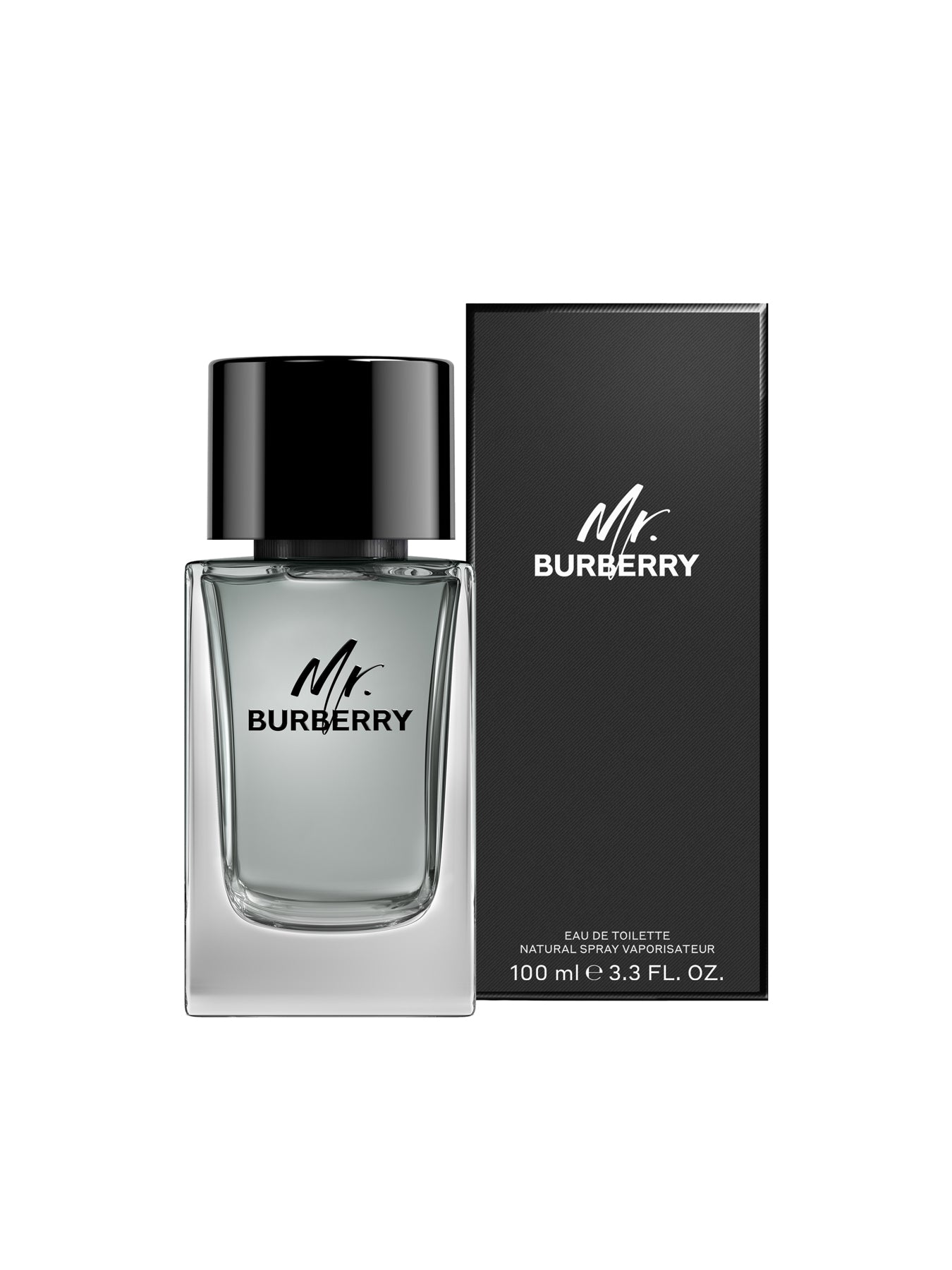 Mr. Burberry Eau de Toilette 100ml