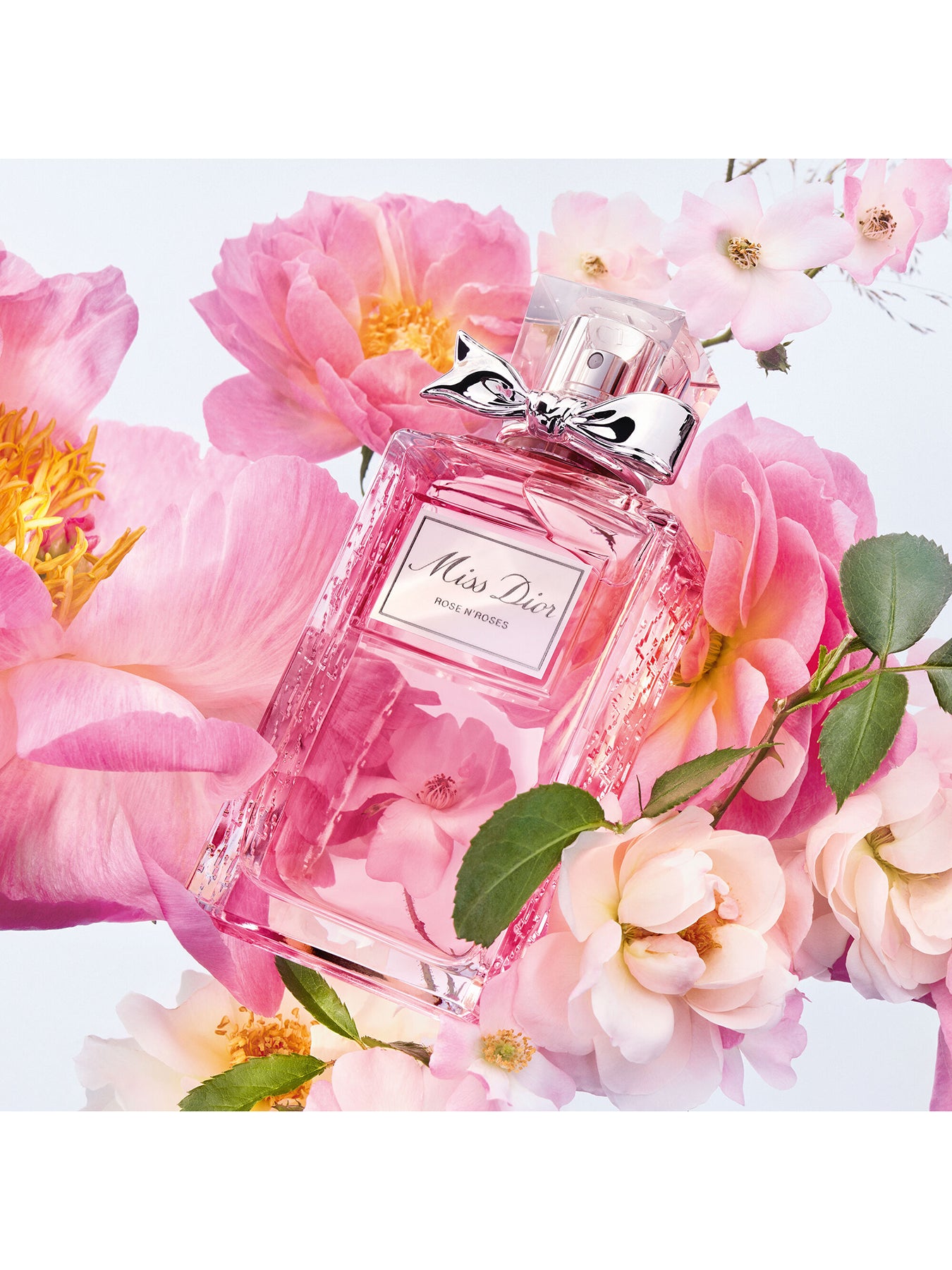 Miss Dior Rose N' Roses 50ml オードトワレ Miss Dior Rose N'Roses Eau de Toilette 50ml – Fenwick