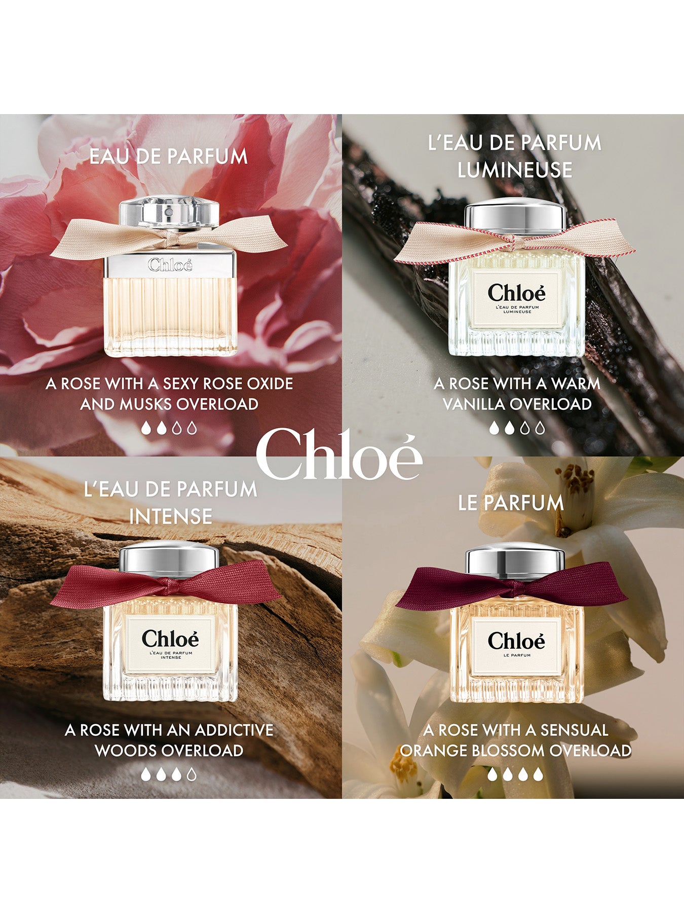 Chloé Eau de Parfum 50ml – Fenwick