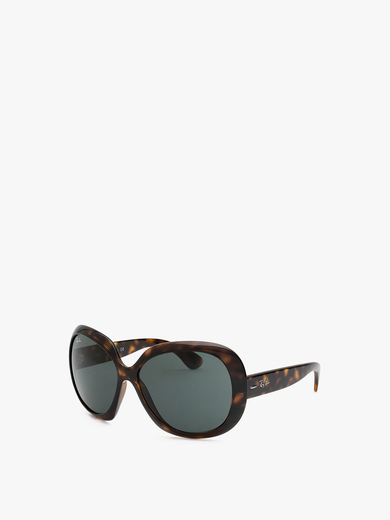 RB4098 Jackie Ohh II Sunglasses
