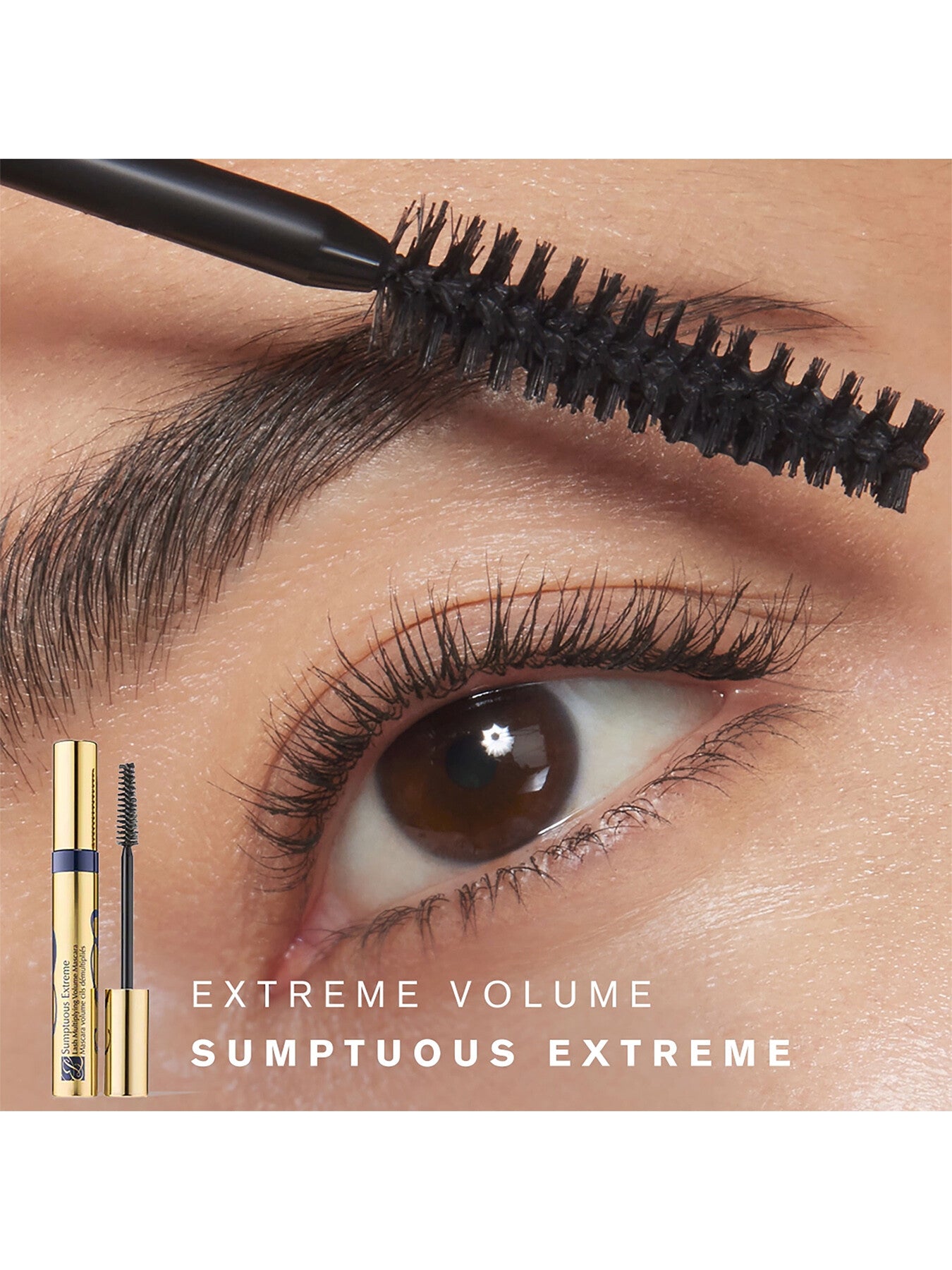 Sumptuous Extreme Lash Multiplying Mascara